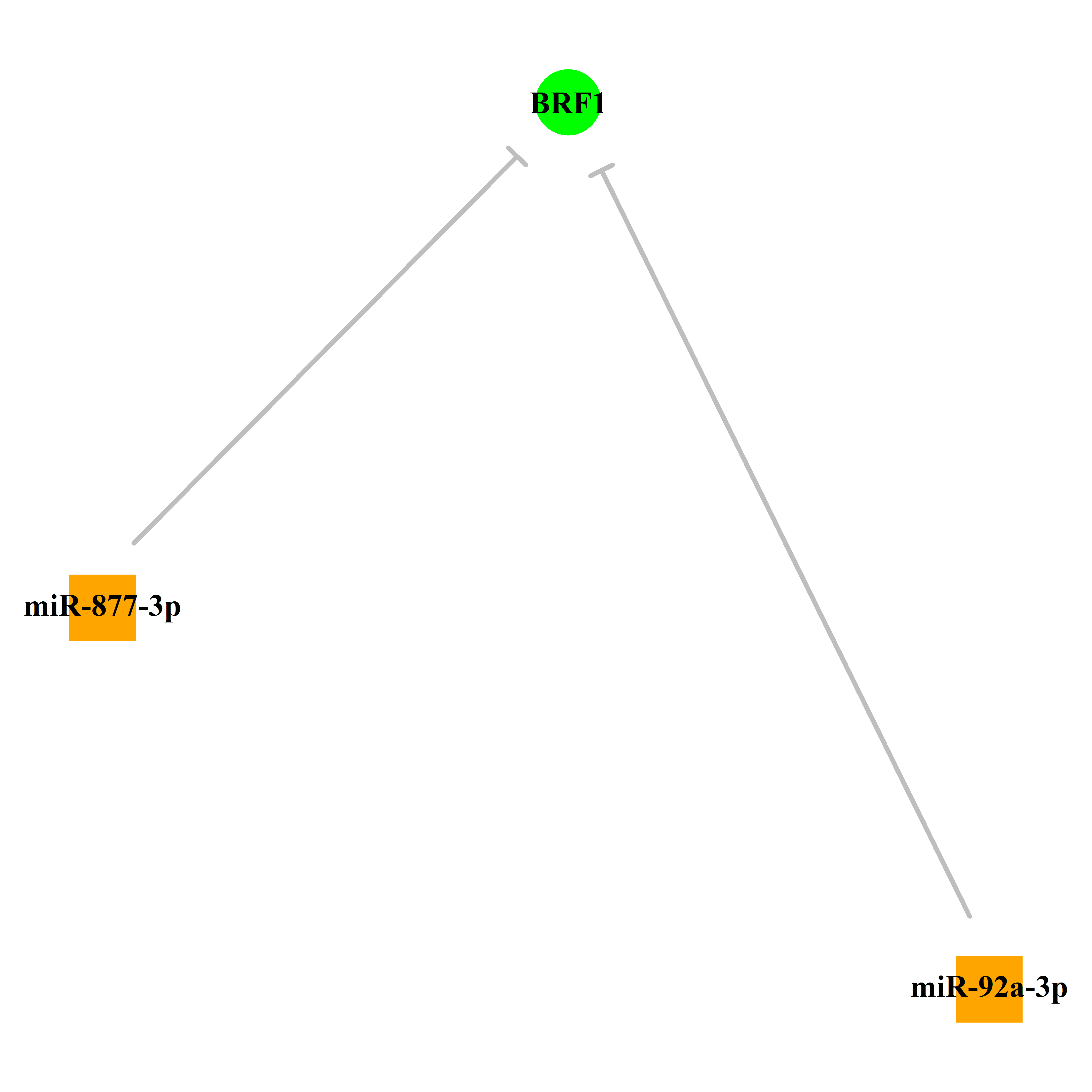 Experimentally validated miRNA-TS gene regulation information.