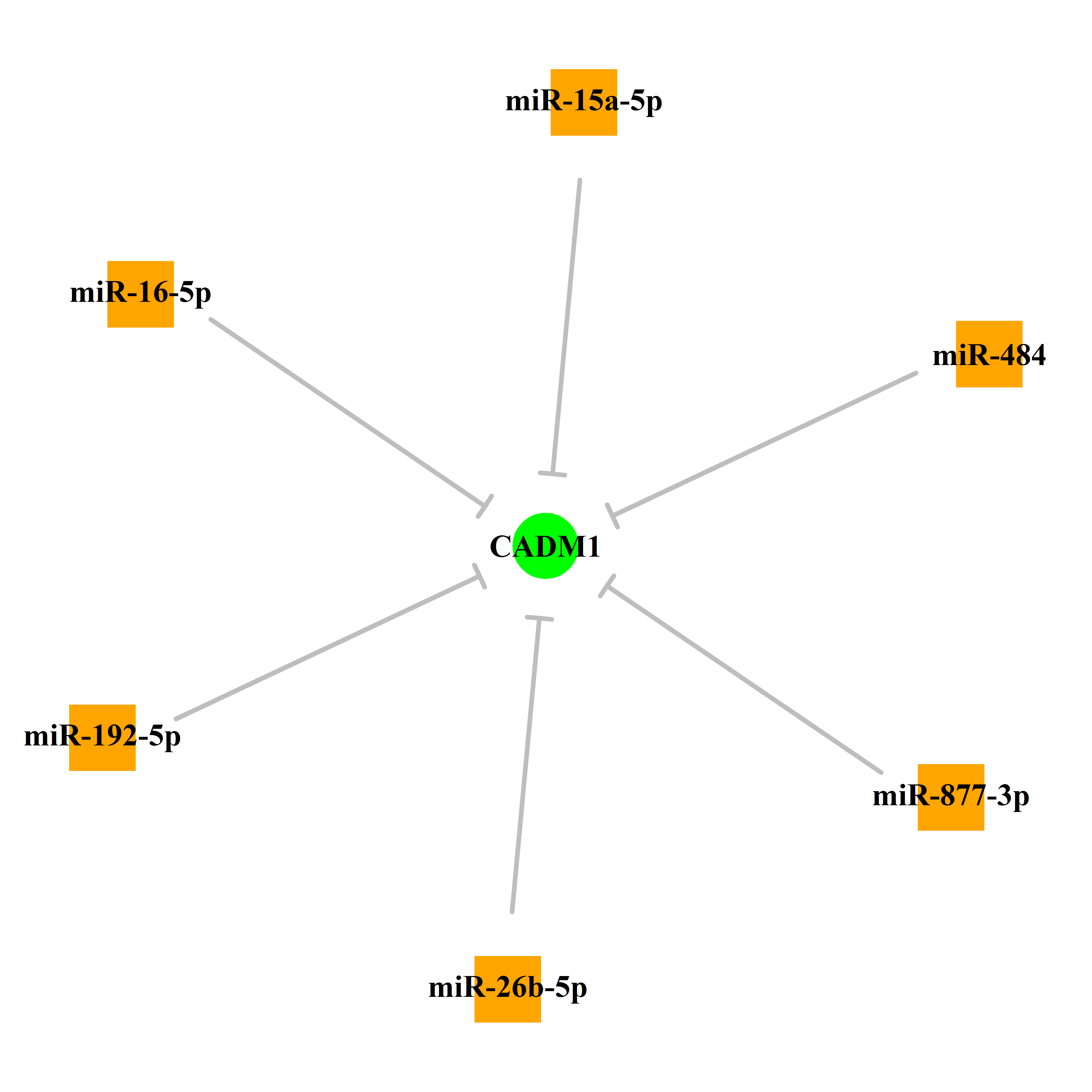 Experimentally validated miRNA-TS gene regulation information.