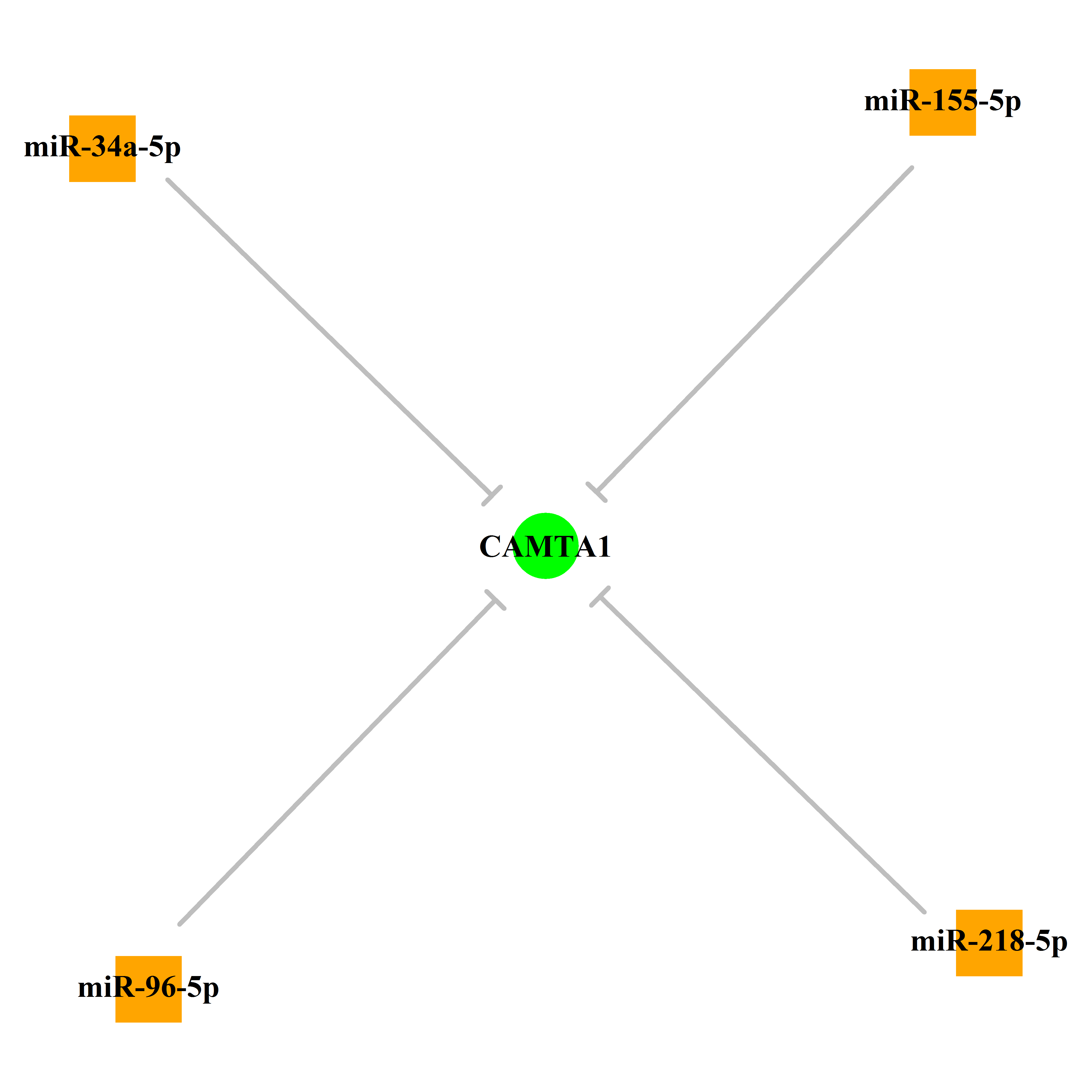 Experimentally validated miRNA-TS gene regulation information.