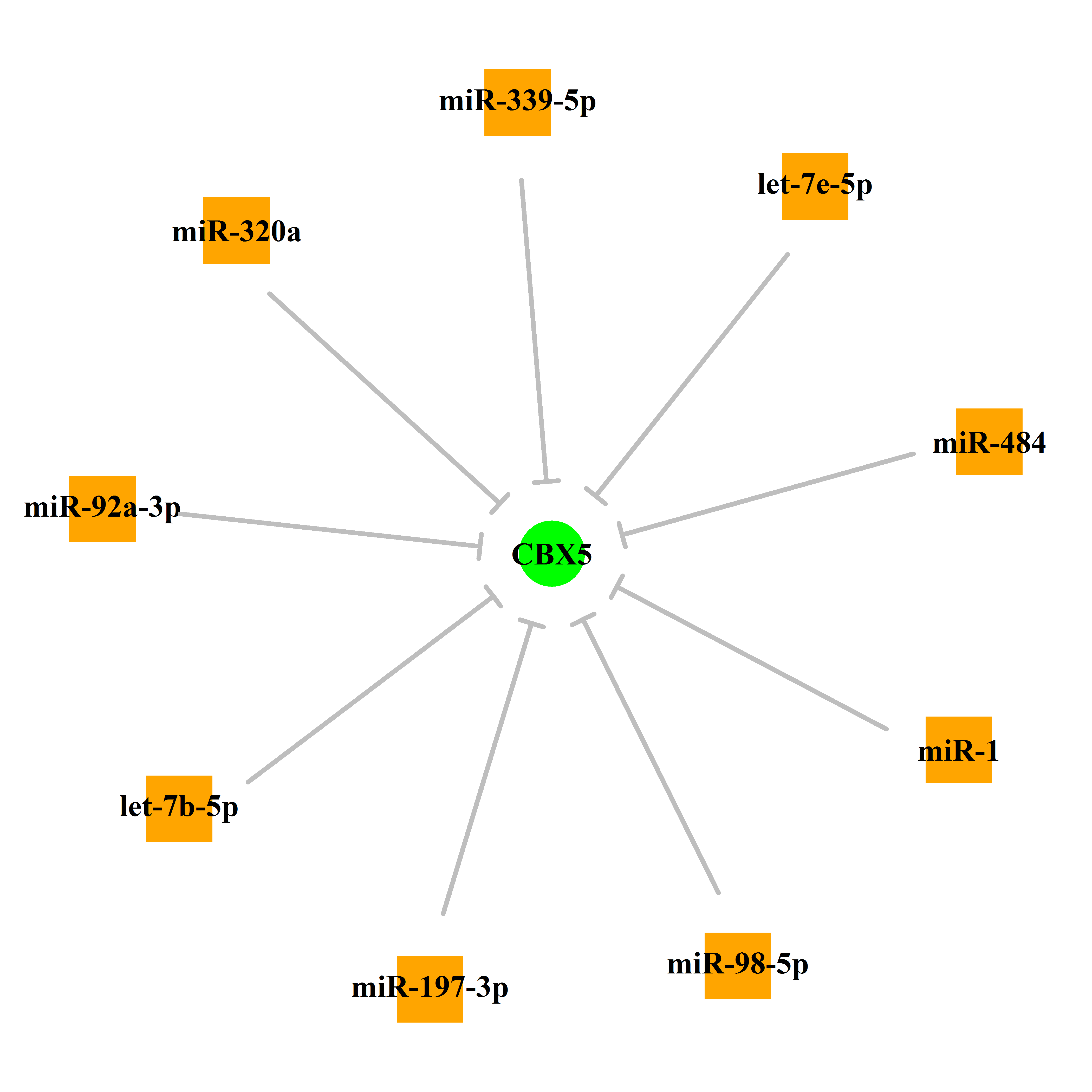 Experimentally validated miRNA-TS gene regulation information.