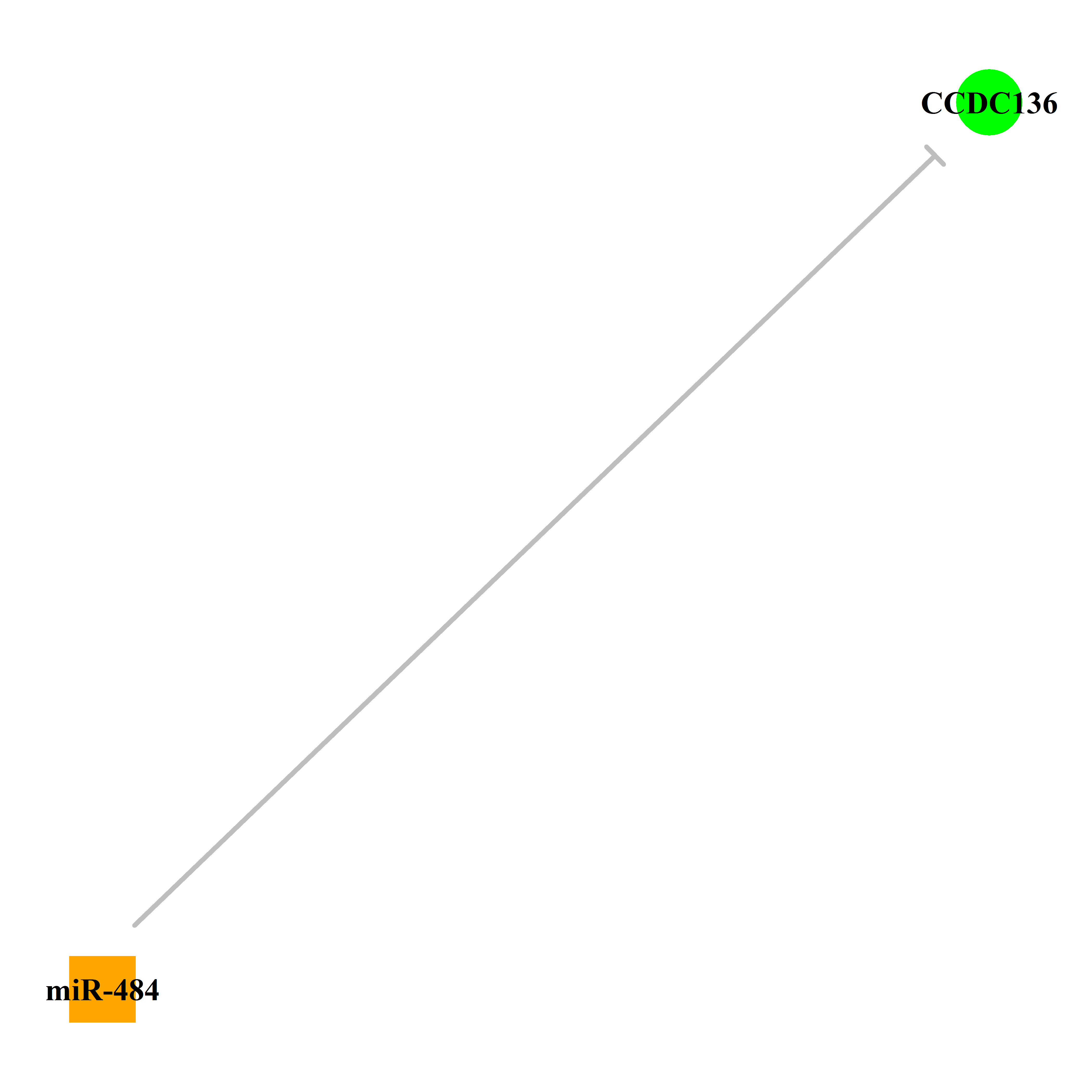 Experimentally validated miRNA-TS gene regulation information.