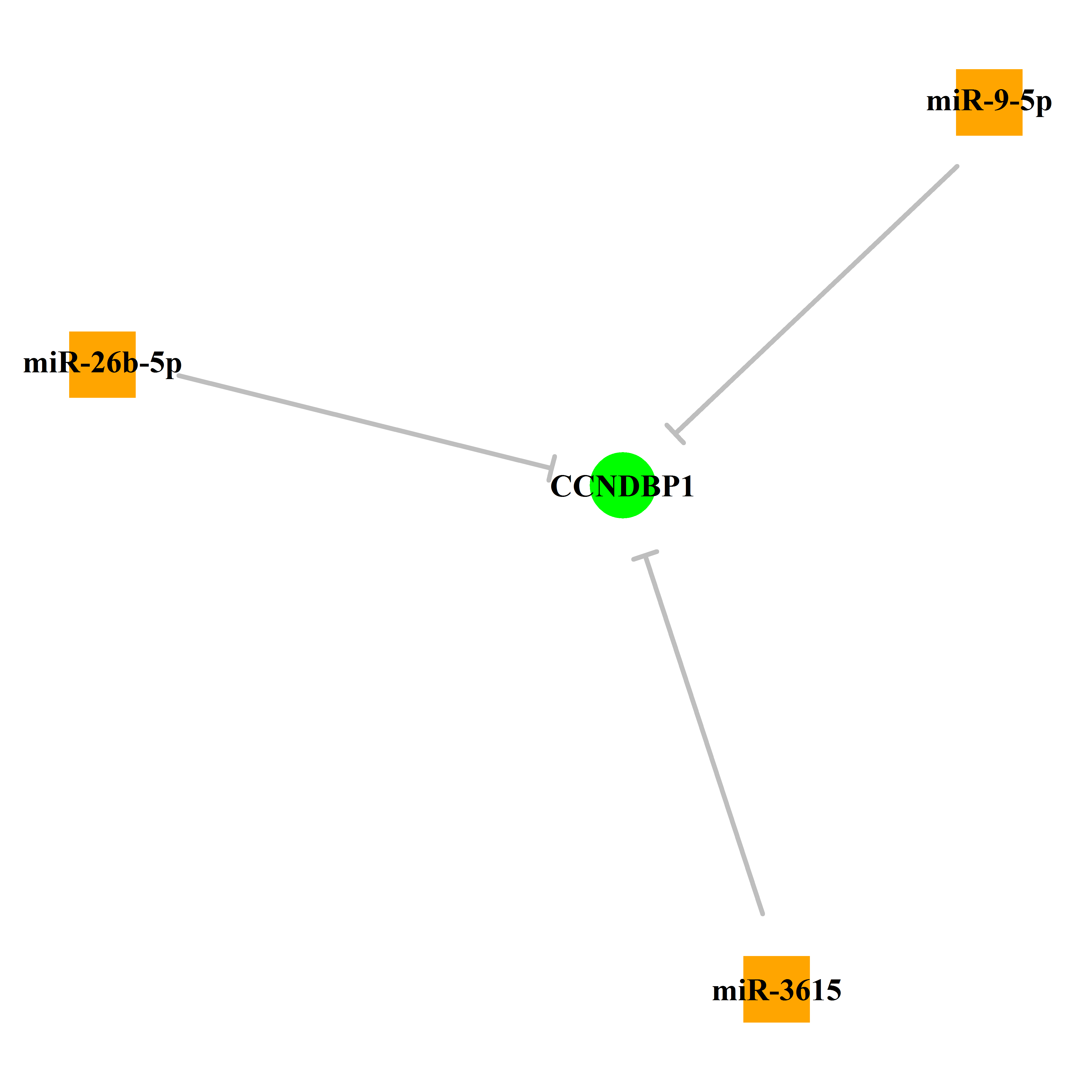 Experimentally validated miRNA-TS gene regulation information.