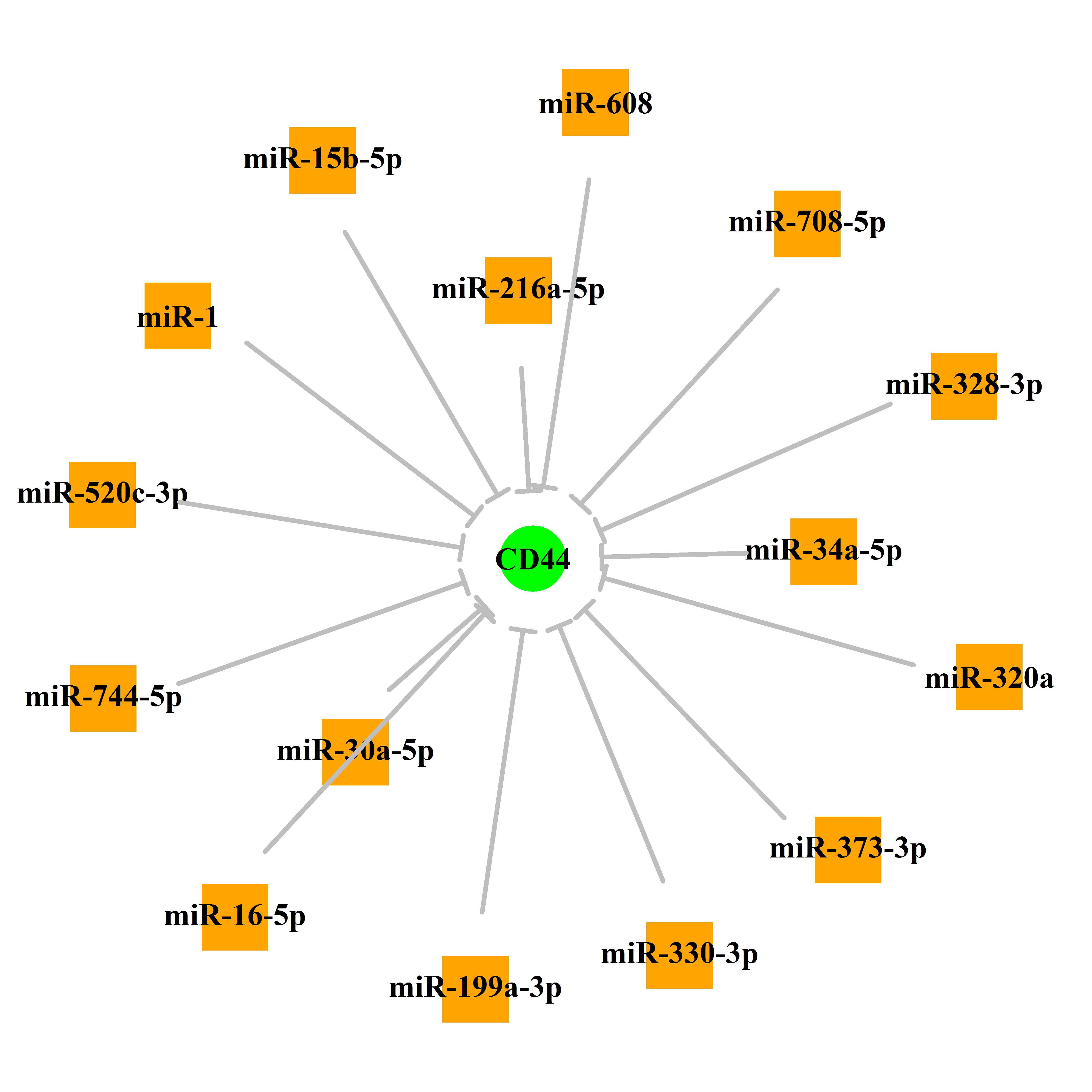 Experimentally validated miRNA-TS gene regulation information.