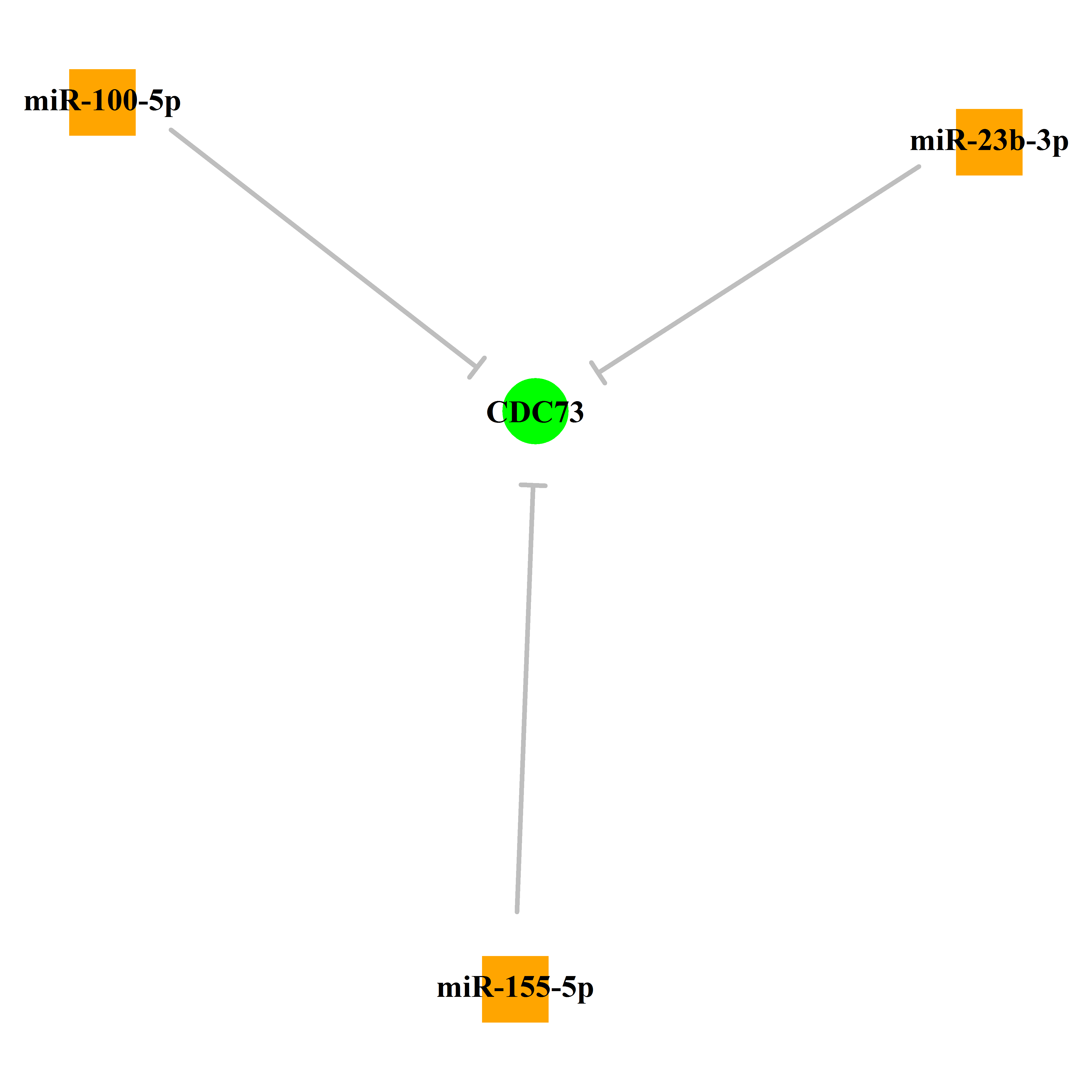 Experimentally validated miRNA-TS gene regulation information.