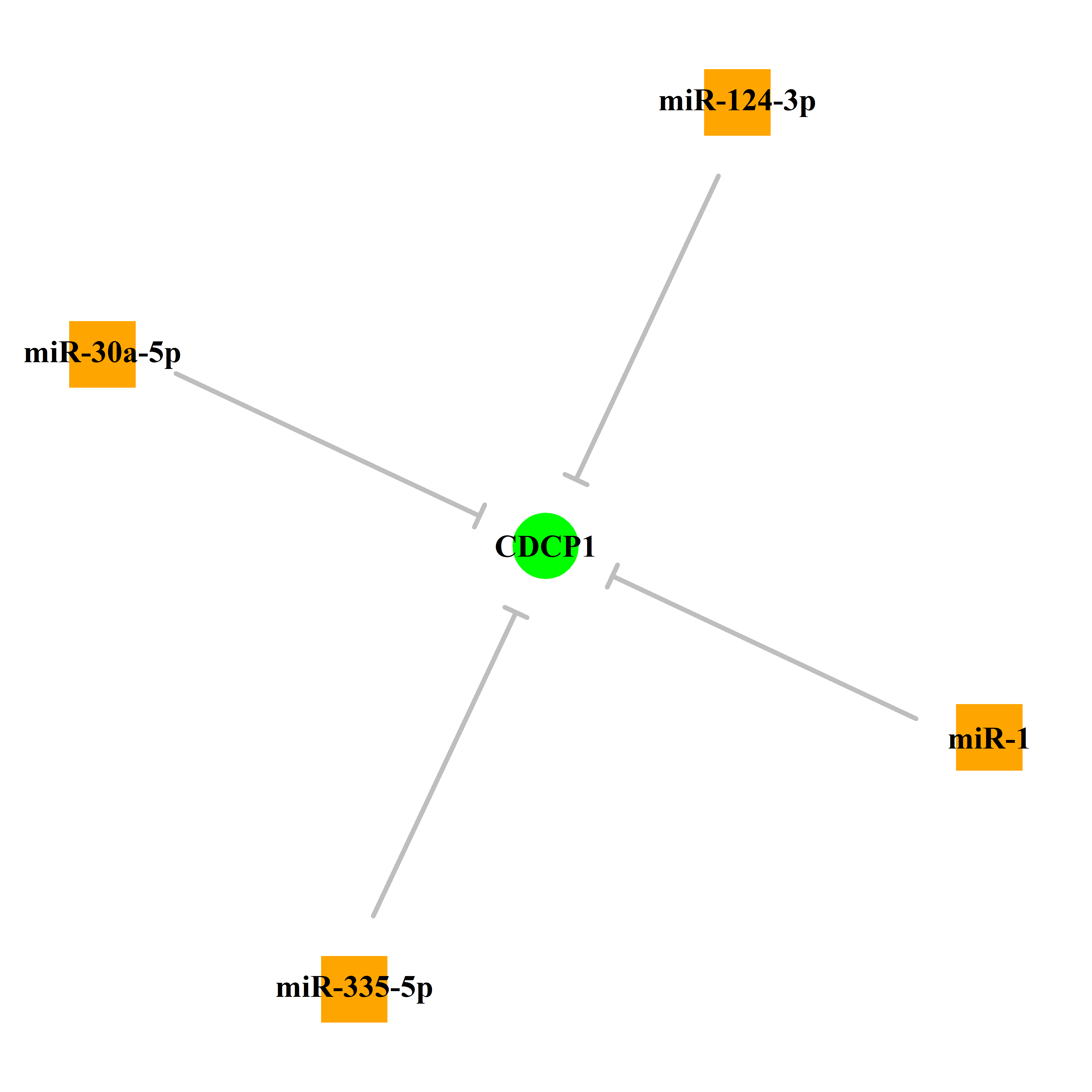 Experimentally validated miRNA-TS gene regulation information.