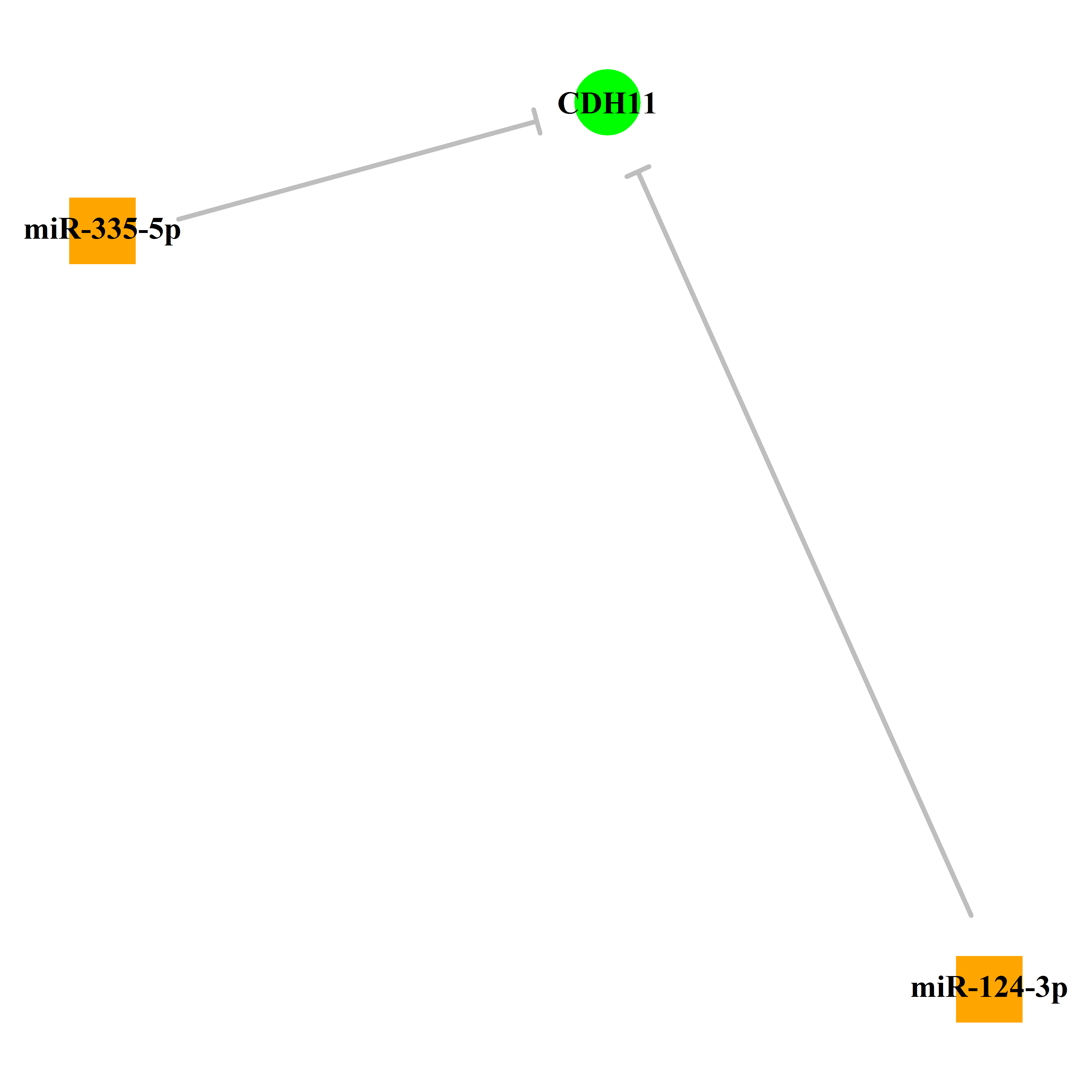 Experimentally validated miRNA-TS gene regulation information.