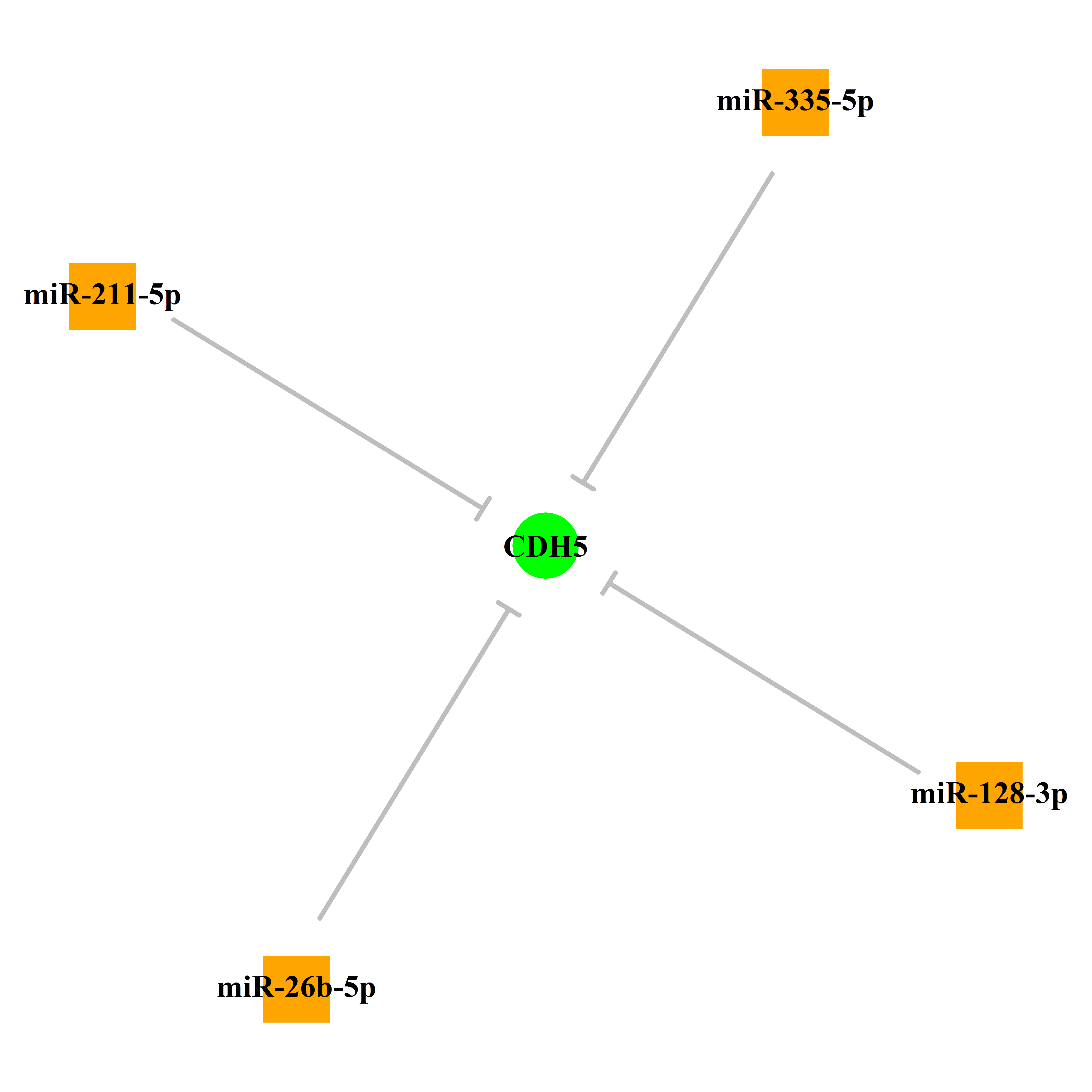 Experimentally validated miRNA-TS gene regulation information.