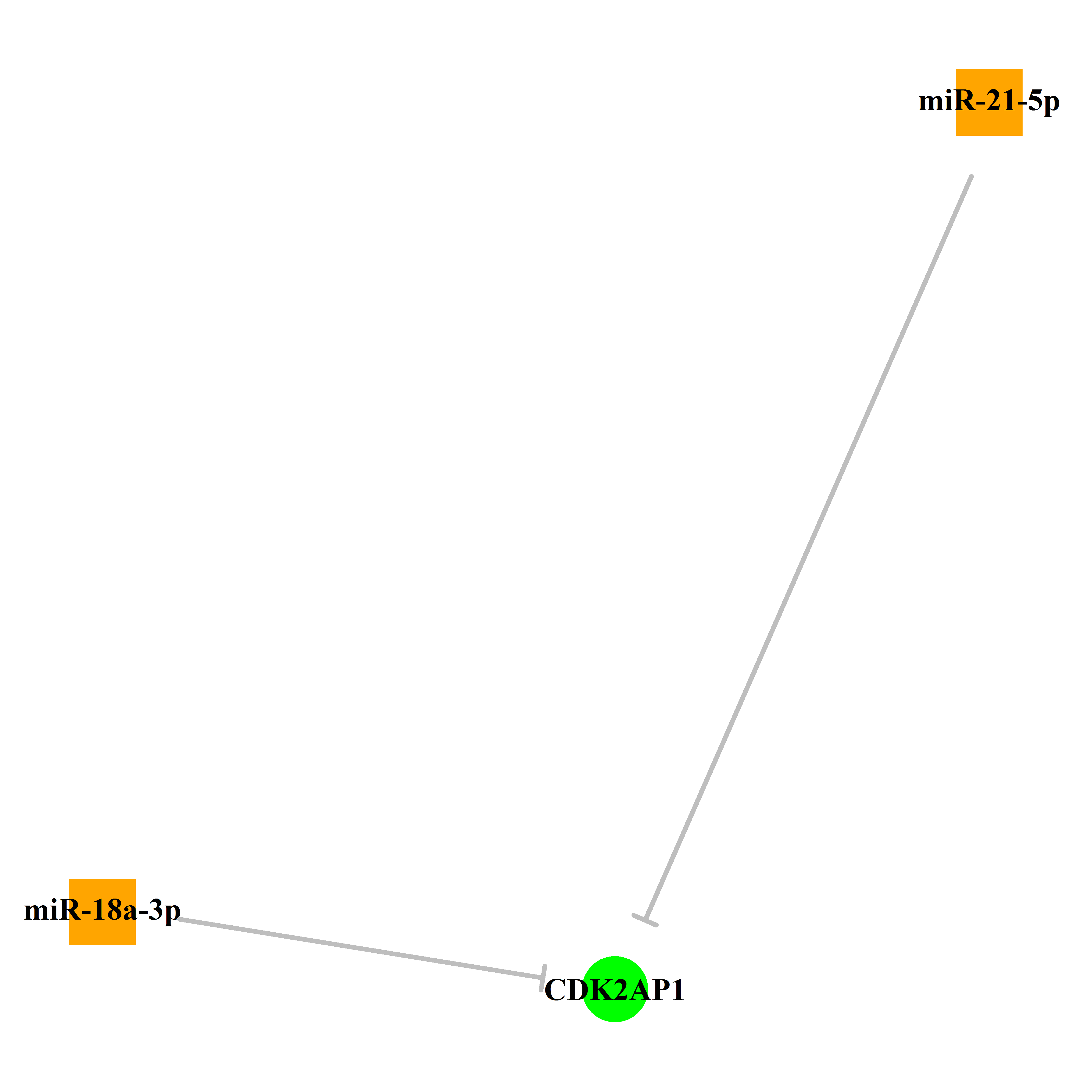 Experimentally validated miRNA-TS gene regulation information.