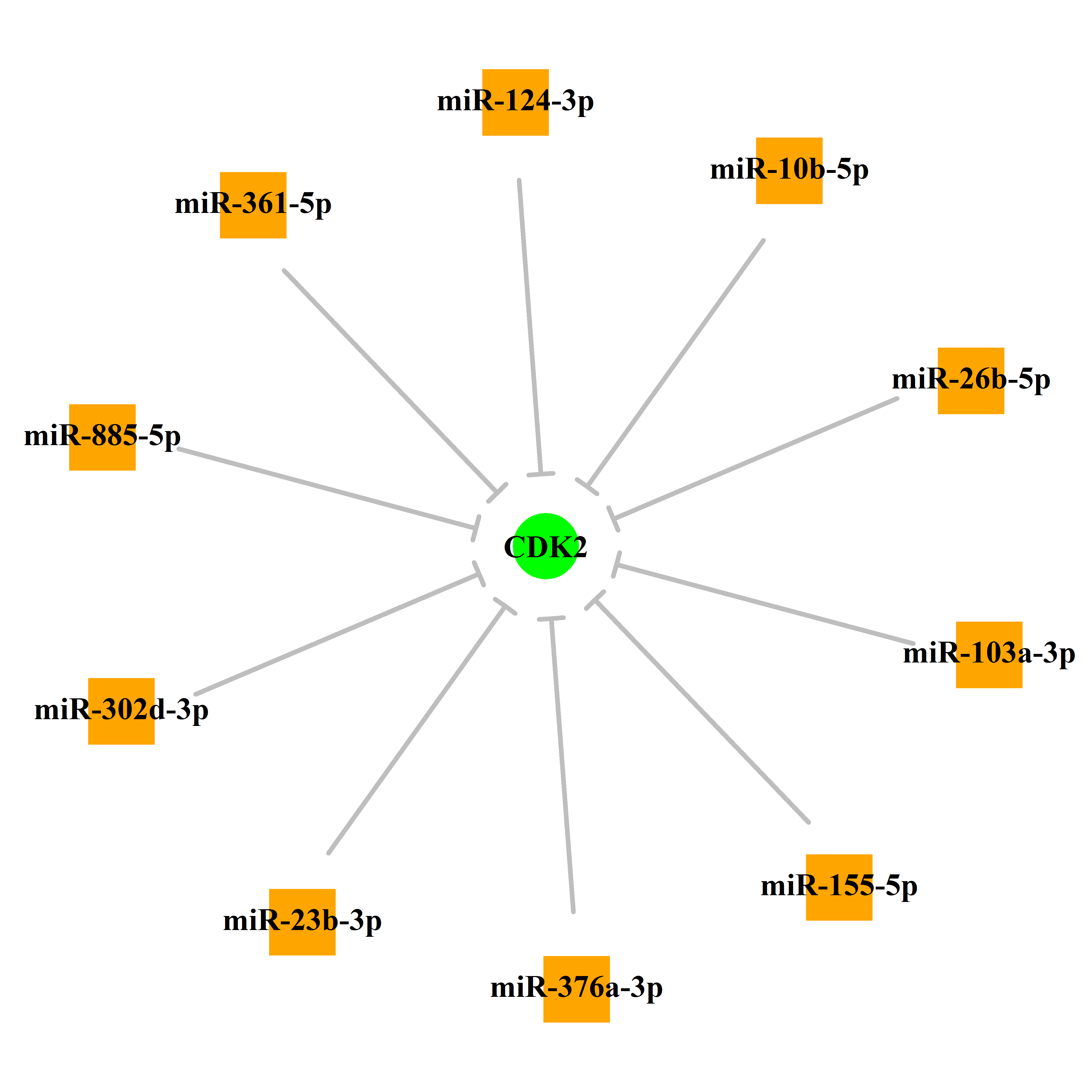 Experimentally validated miRNA-TS gene regulation information.