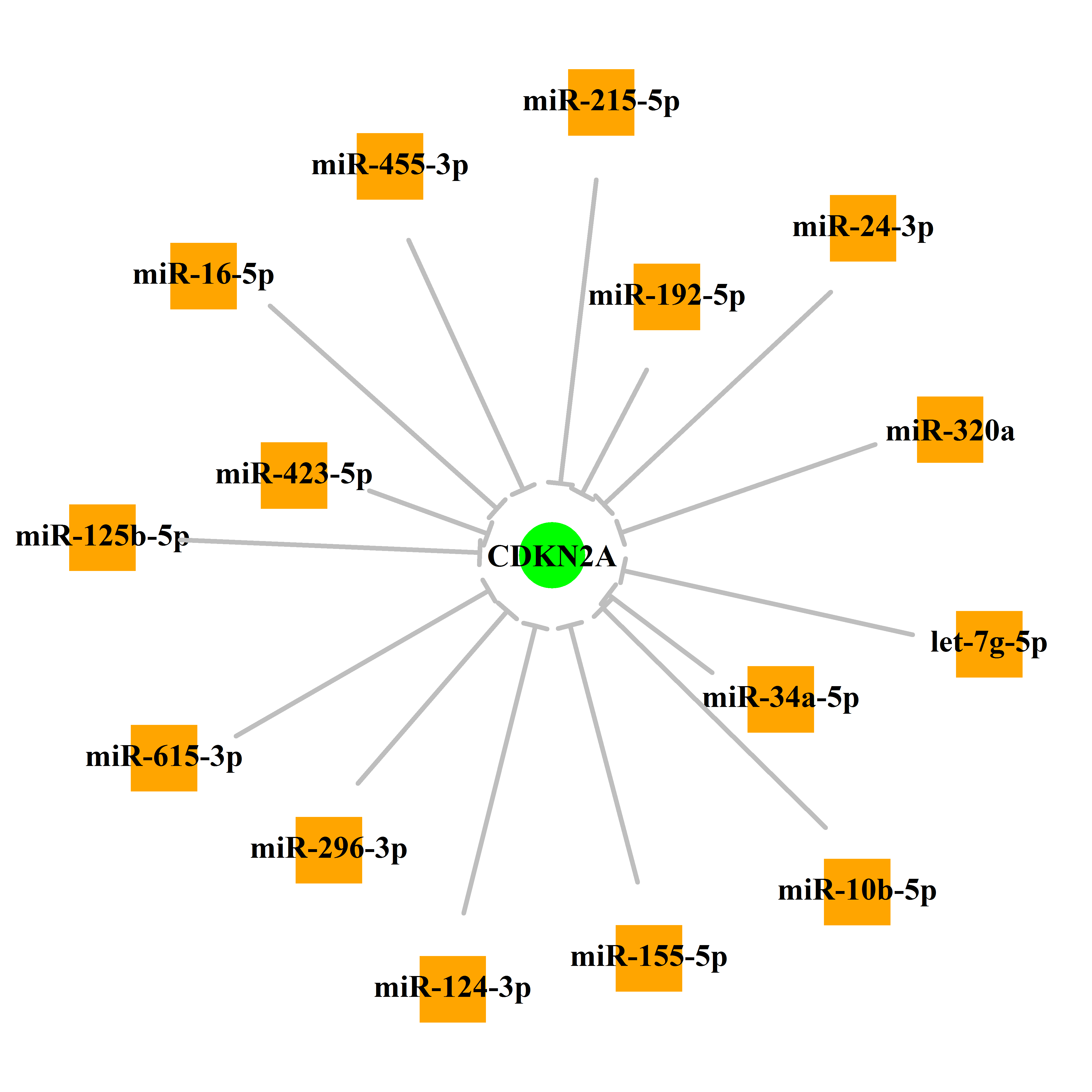 Experimentally validated miRNA-TS gene regulation information.