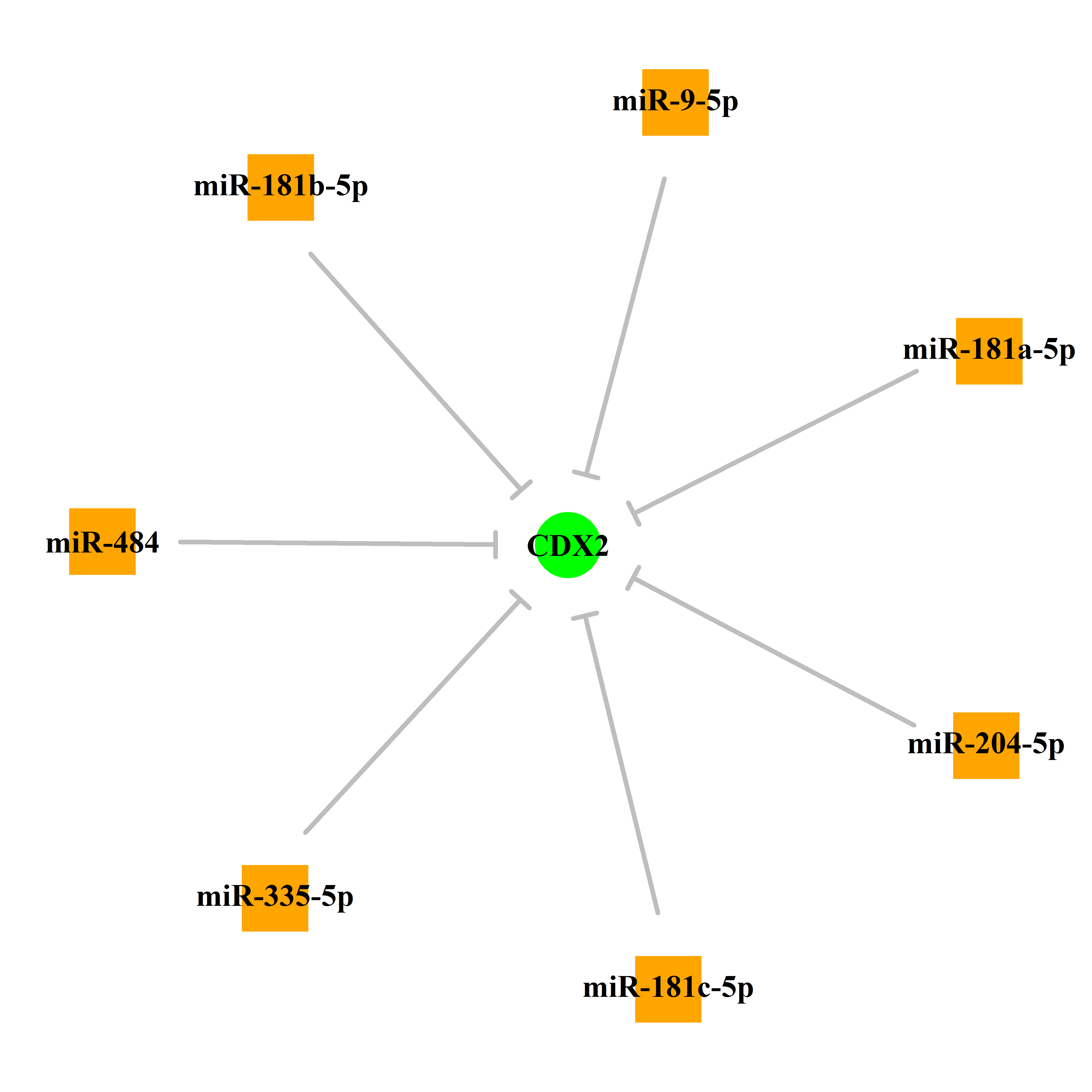 Experimentally validated miRNA-TS gene regulation information.