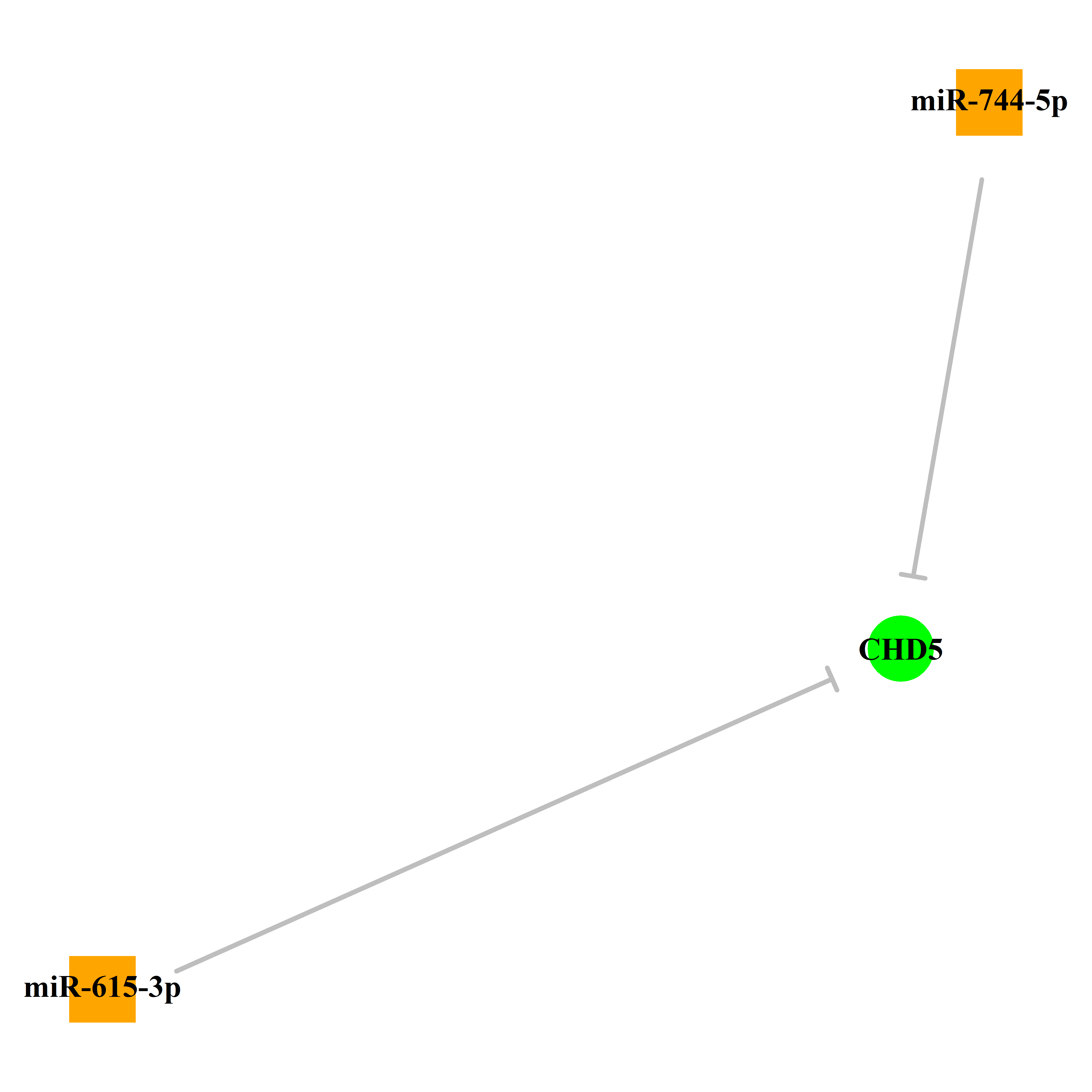 Experimentally validated miRNA-TS gene regulation information.