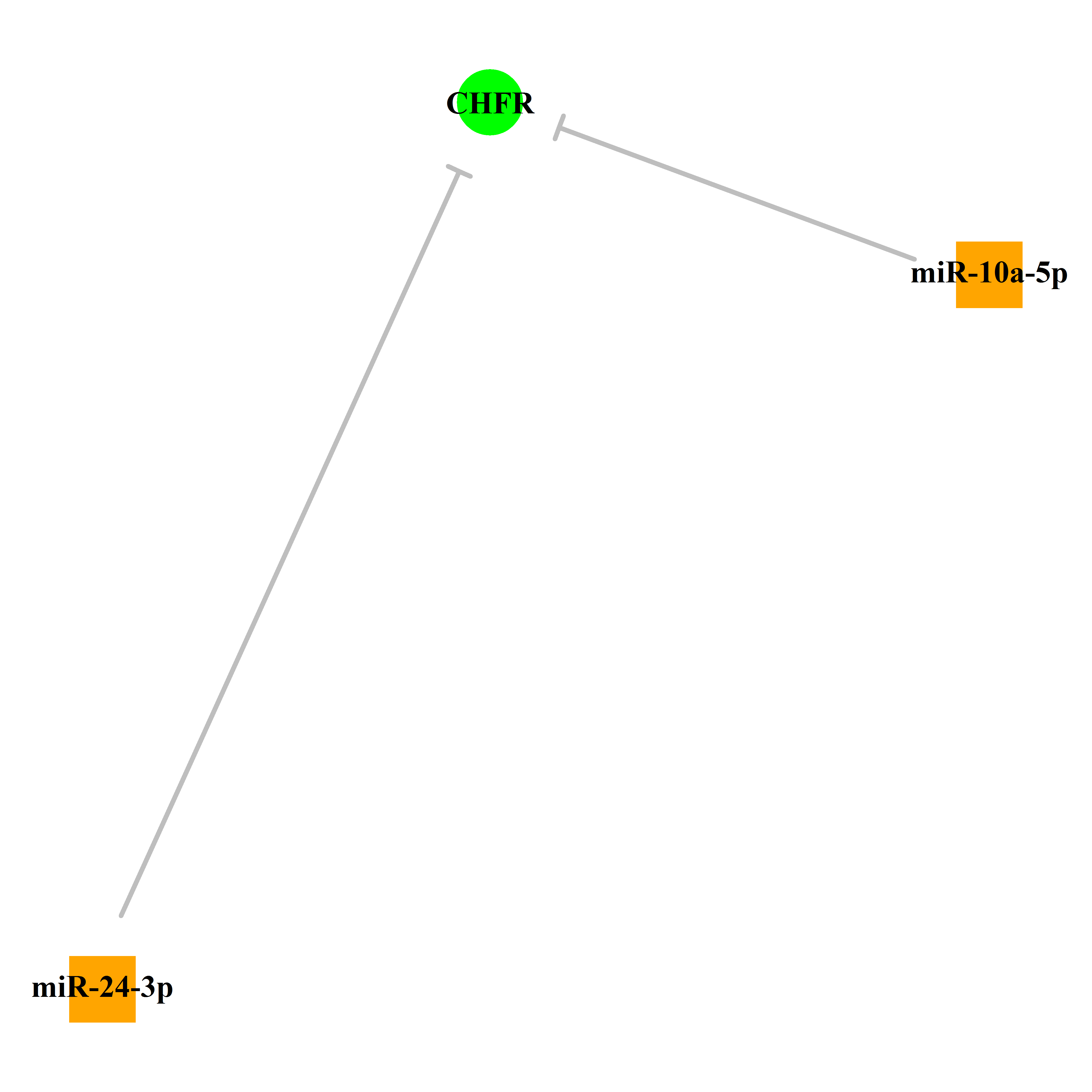 Experimentally validated miRNA-TS gene regulation information.