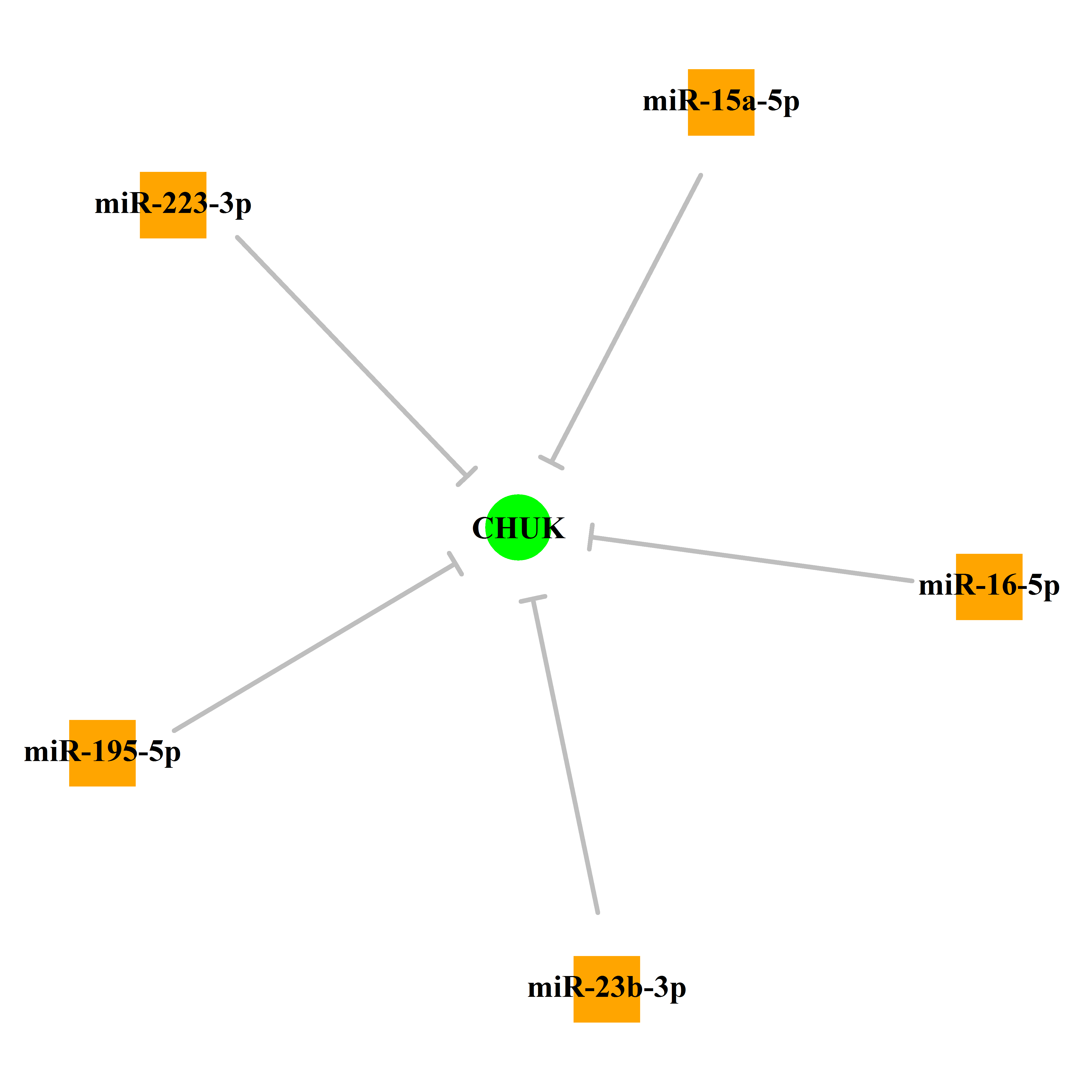 Experimentally validated miRNA-TS gene regulation information.