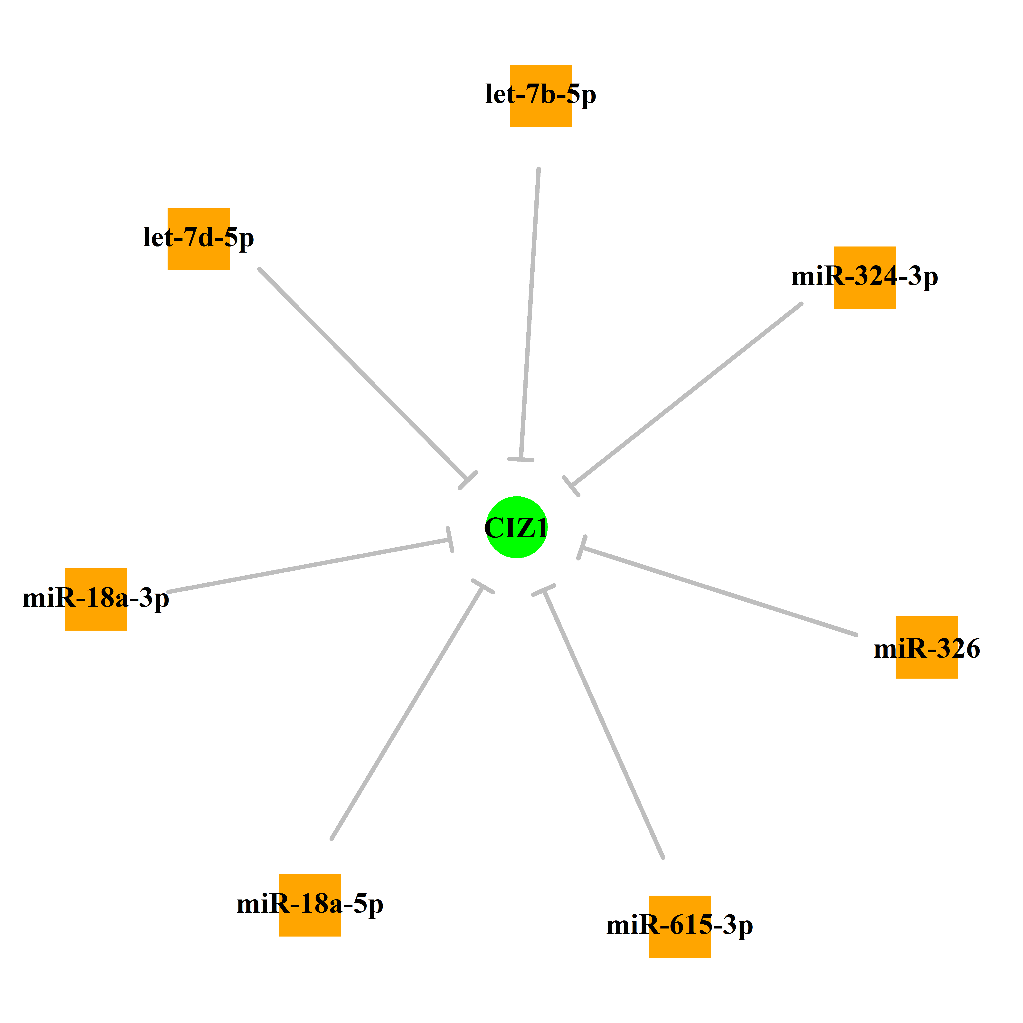 Experimentally validated miRNA-TS gene regulation information.