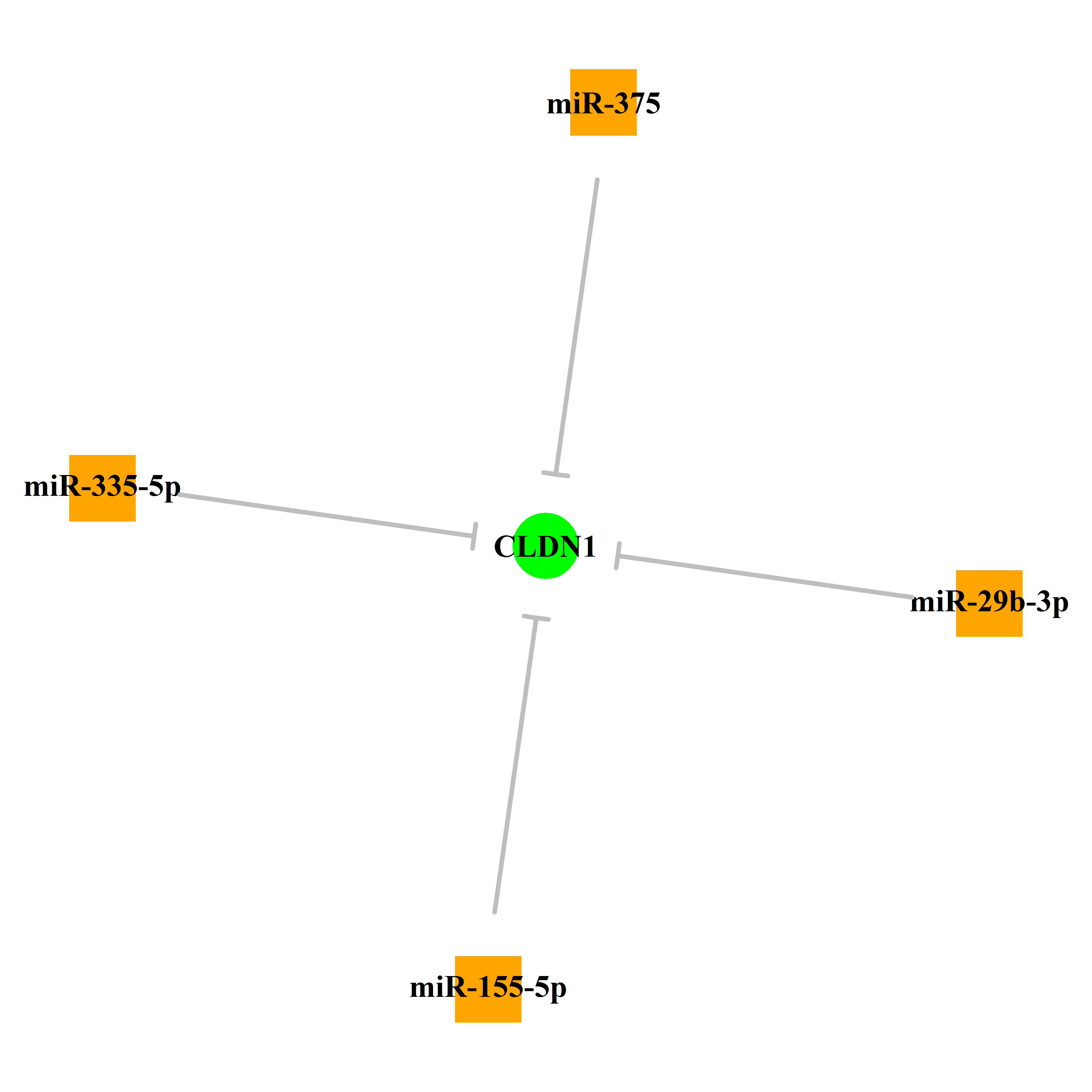 Experimentally validated miRNA-TS gene regulation information.