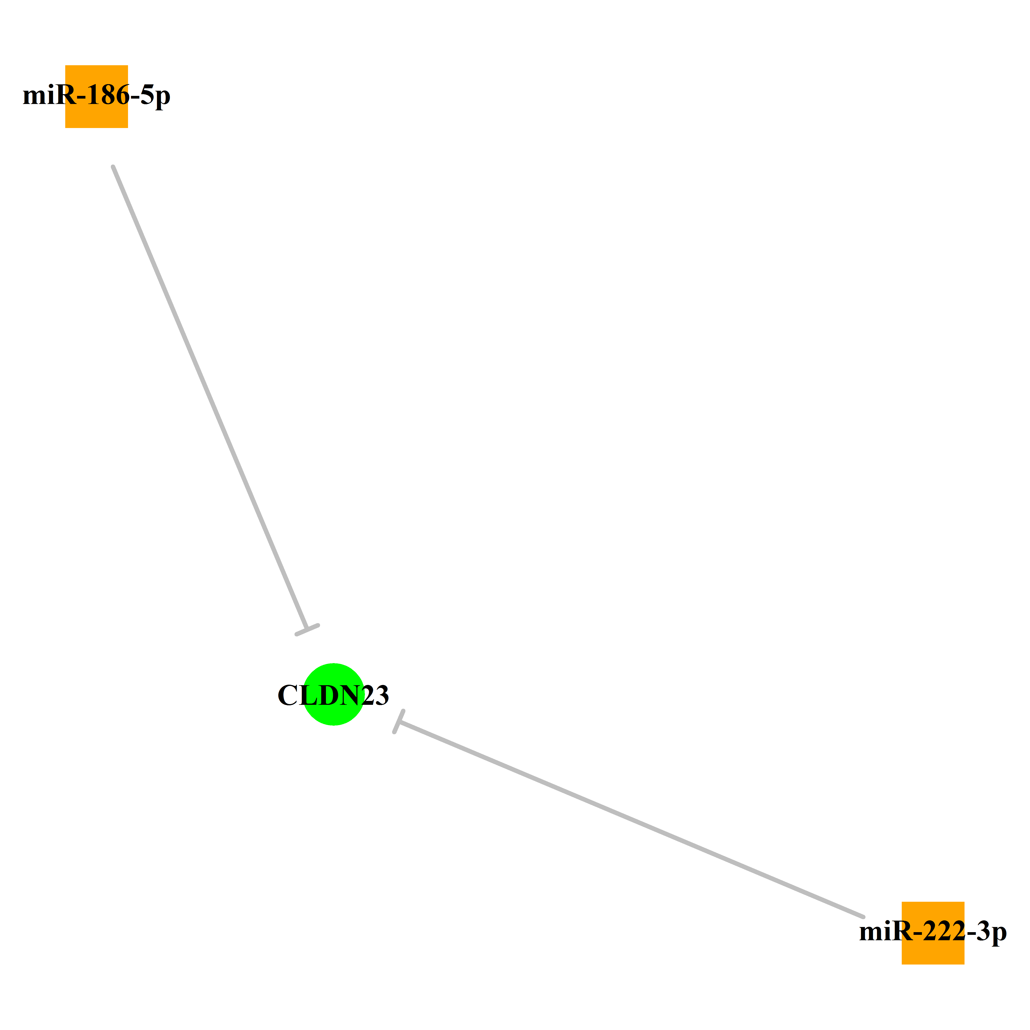 Experimentally validated miRNA-TS gene regulation information.