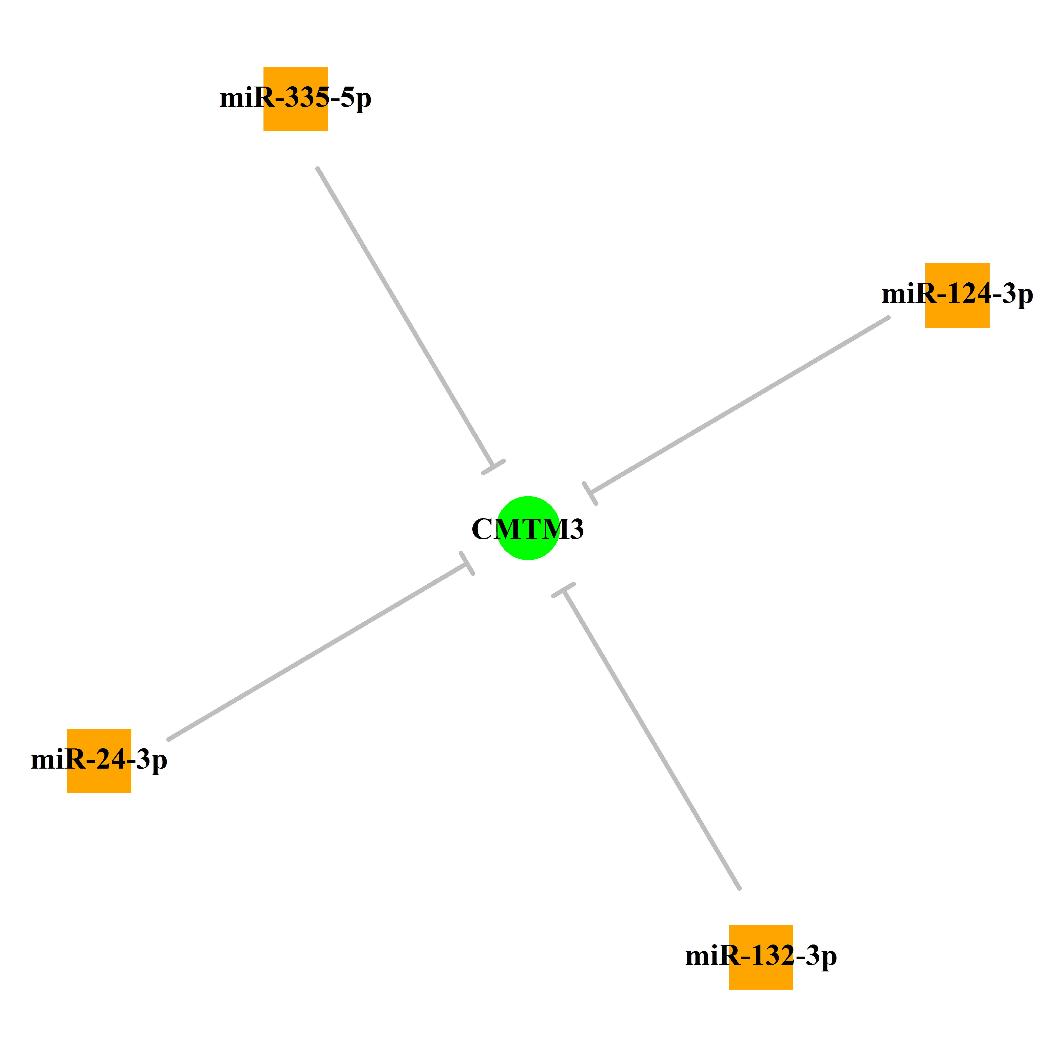 Experimentally validated miRNA-TS gene regulation information.