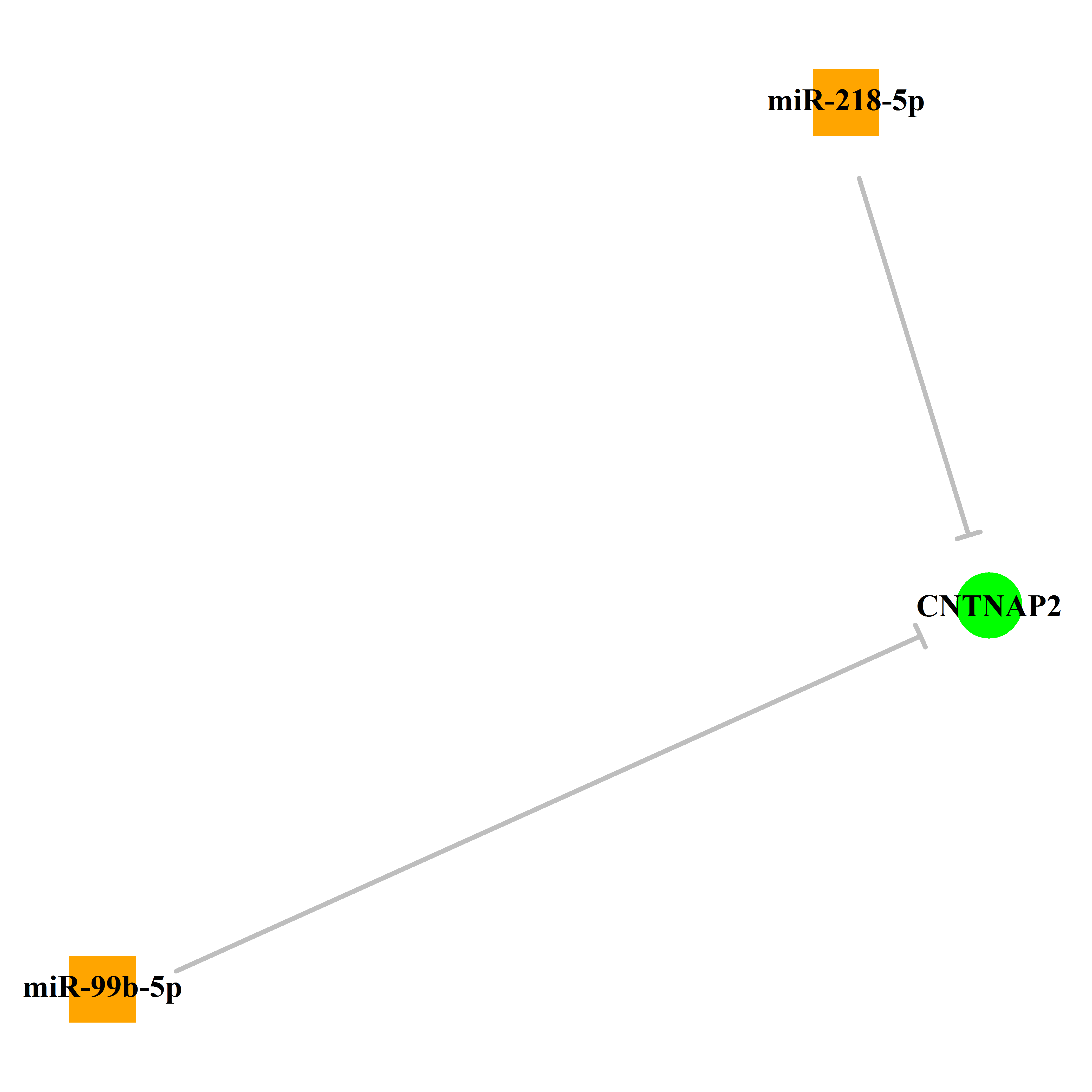 Experimentally validated miRNA-TS gene regulation information.