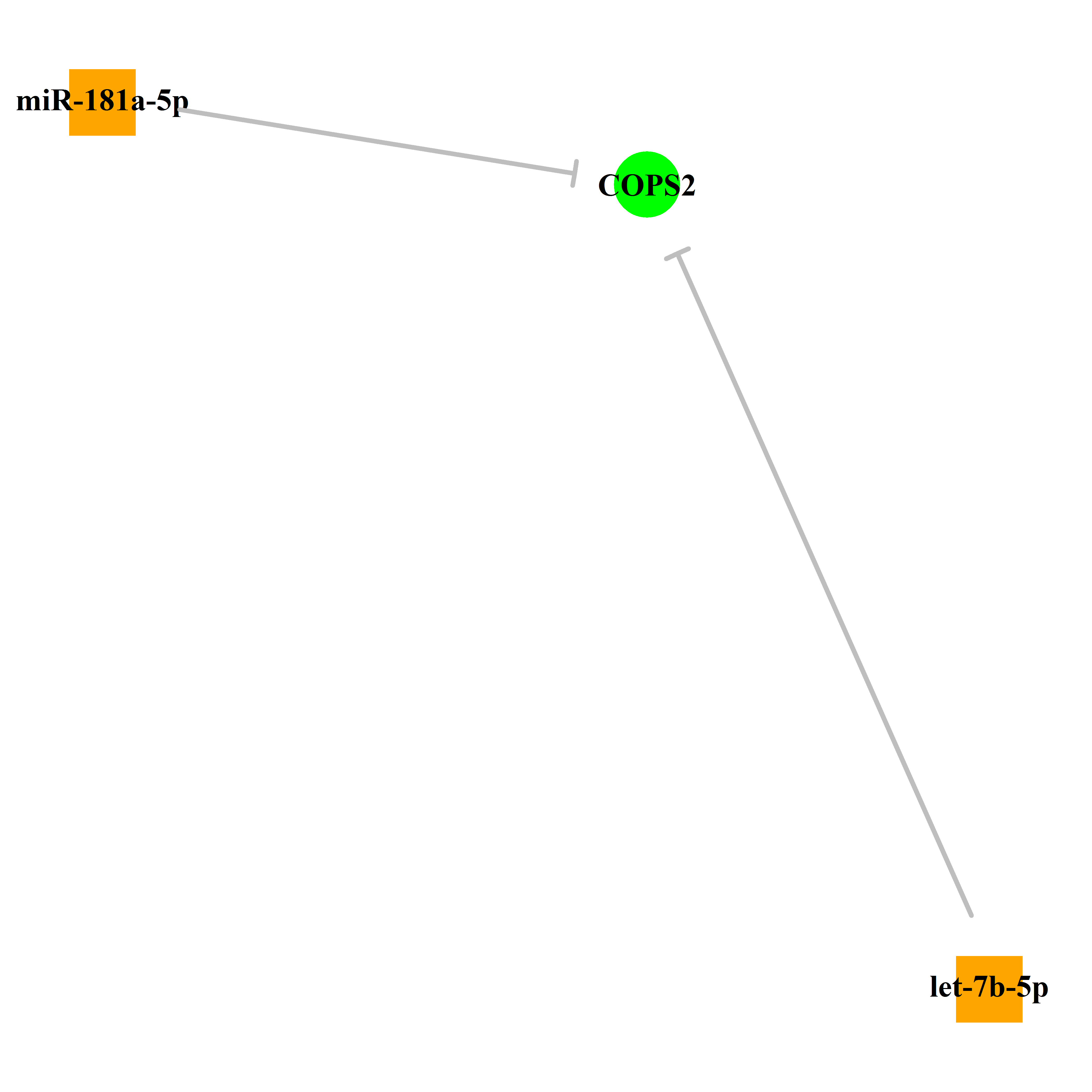 Experimentally validated miRNA-TS gene regulation information.