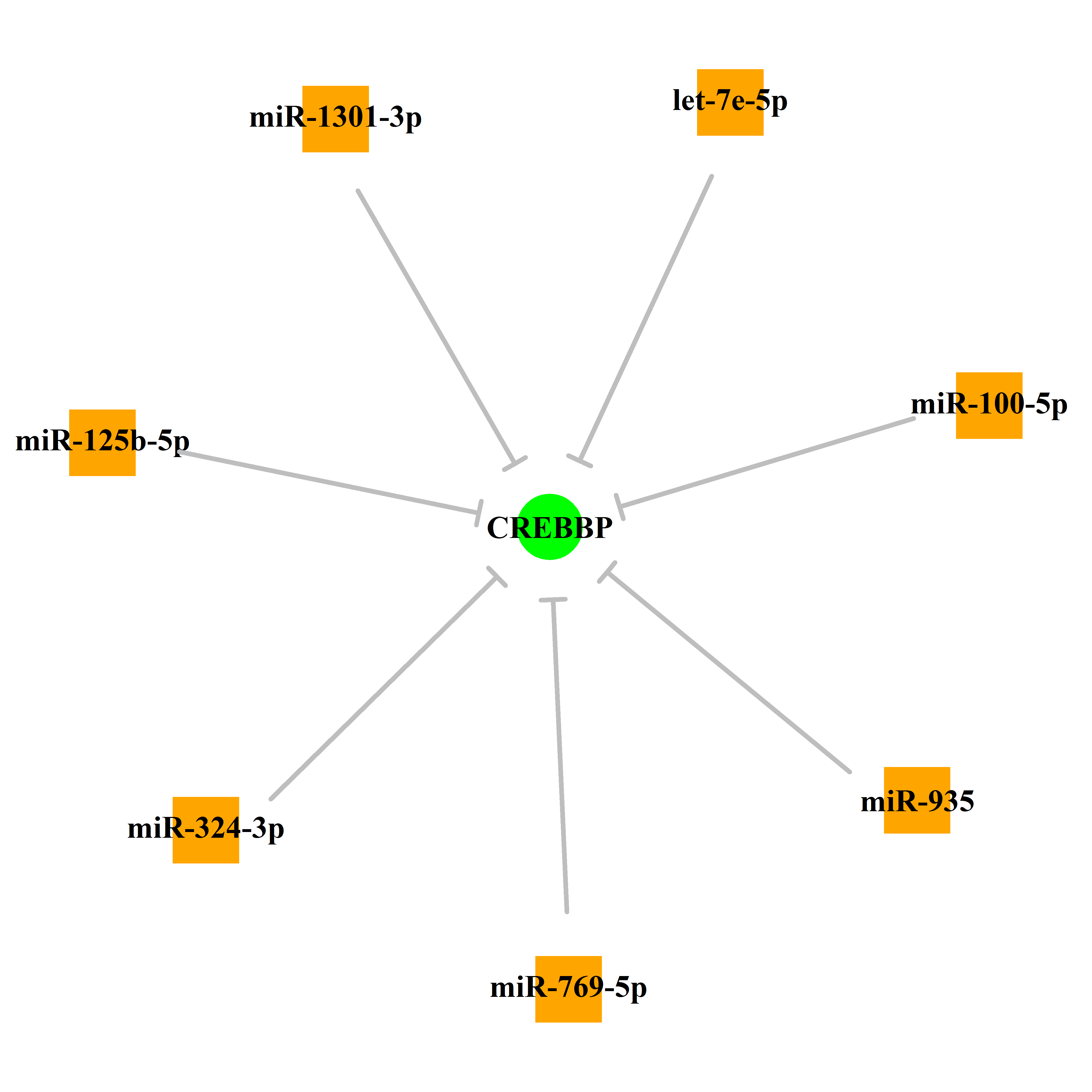 Experimentally validated miRNA-TS gene regulation information.