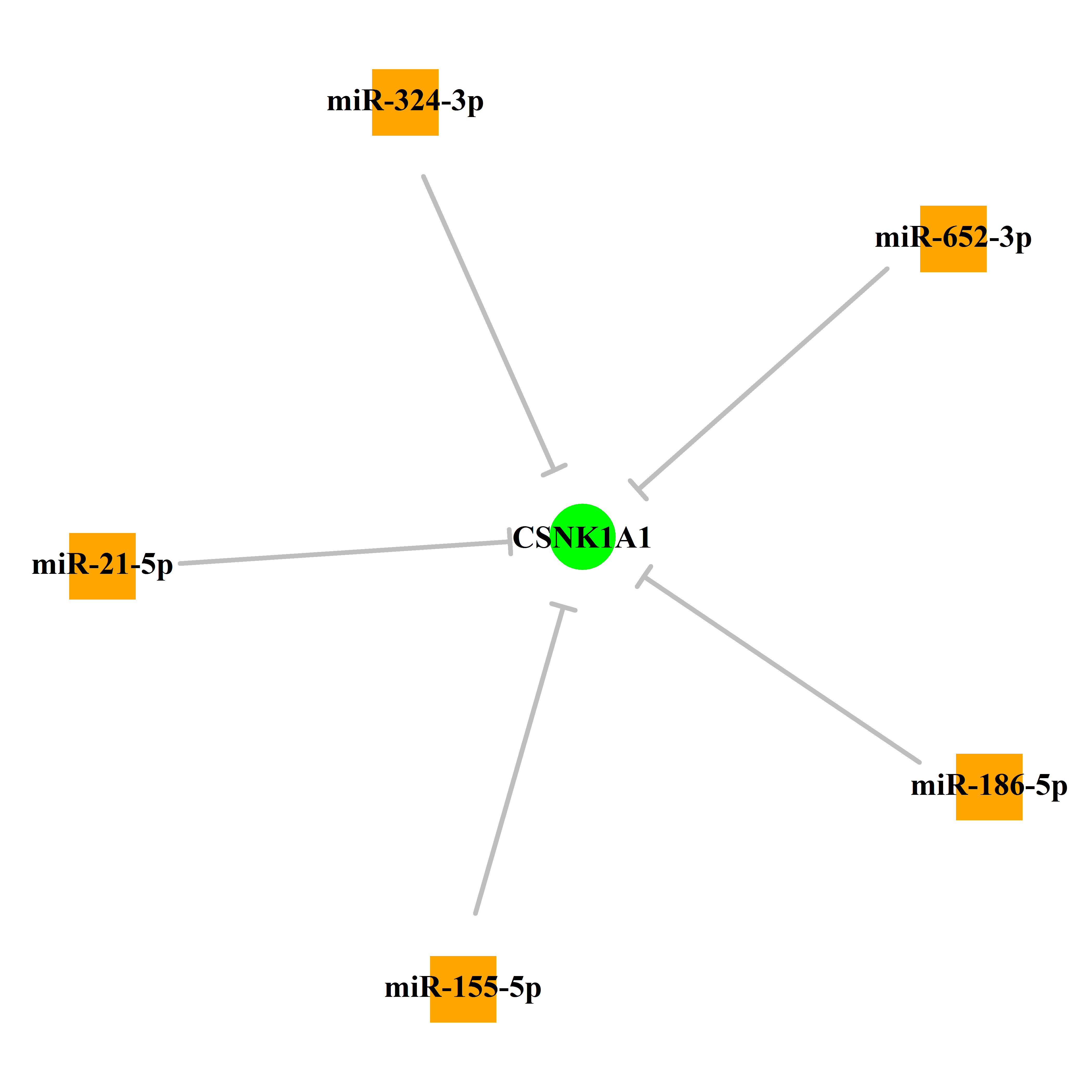 Experimentally validated miRNA-TS gene regulation information.