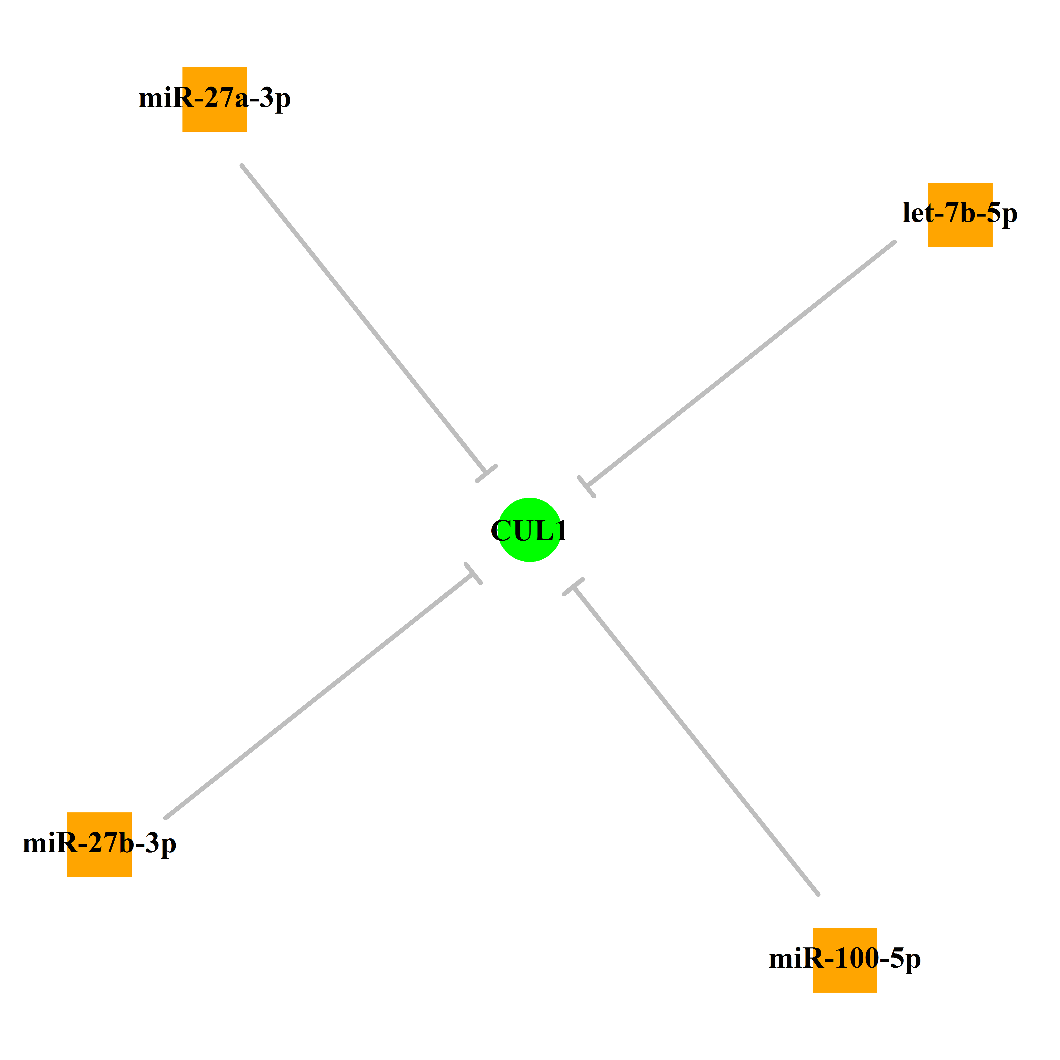 Experimentally validated miRNA-TS gene regulation information.