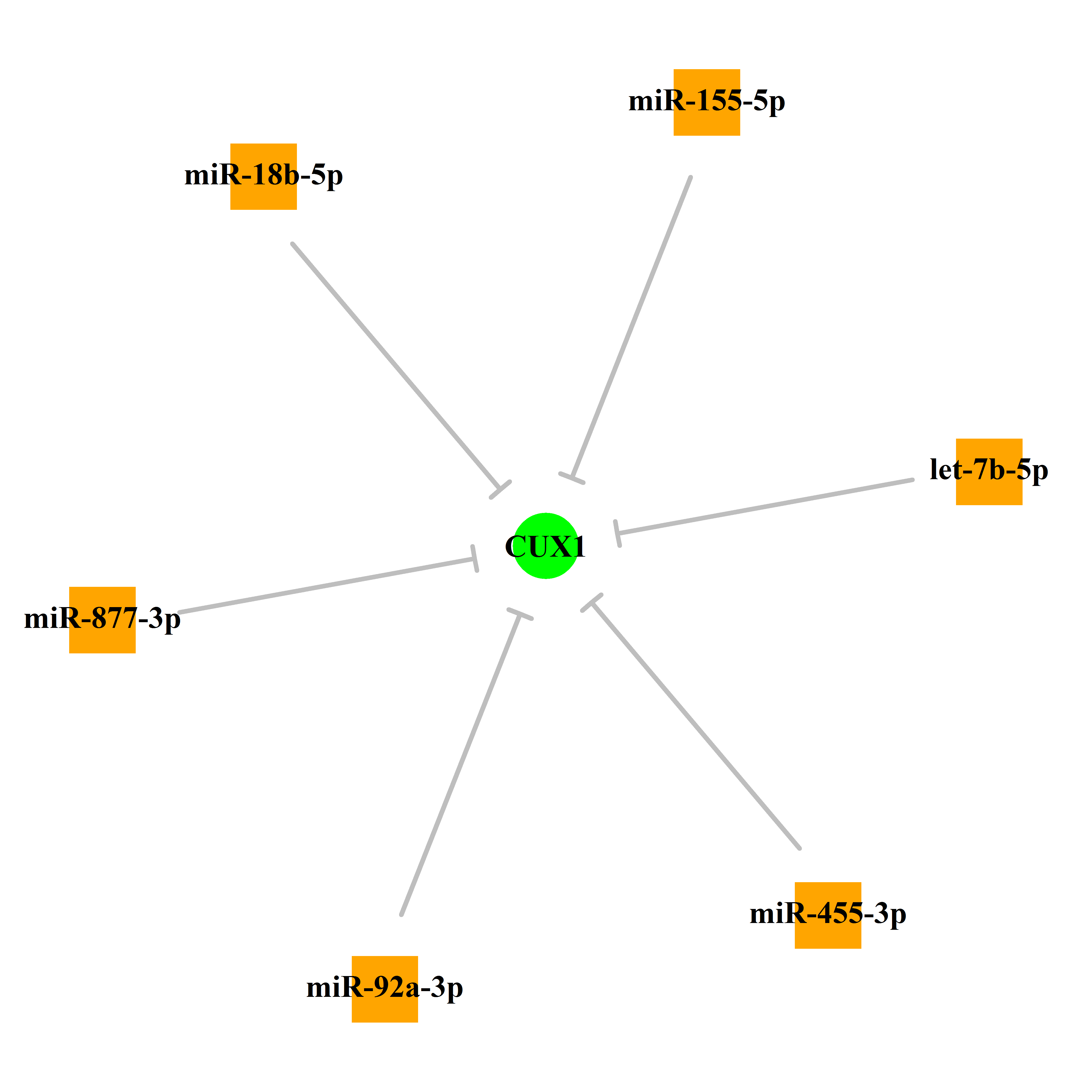 Experimentally validated miRNA-TS gene regulation information.