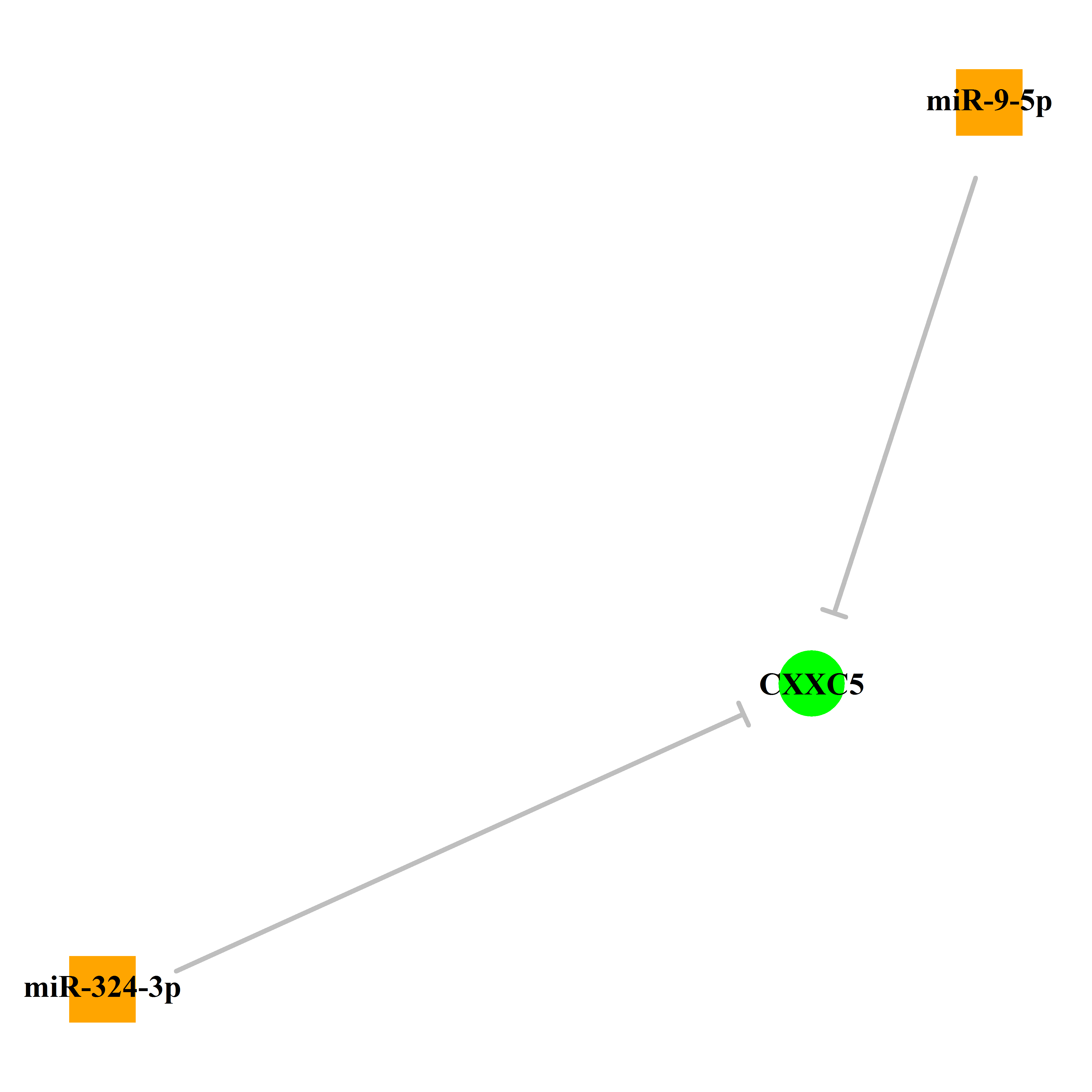 Experimentally validated miRNA-TS gene regulation information.