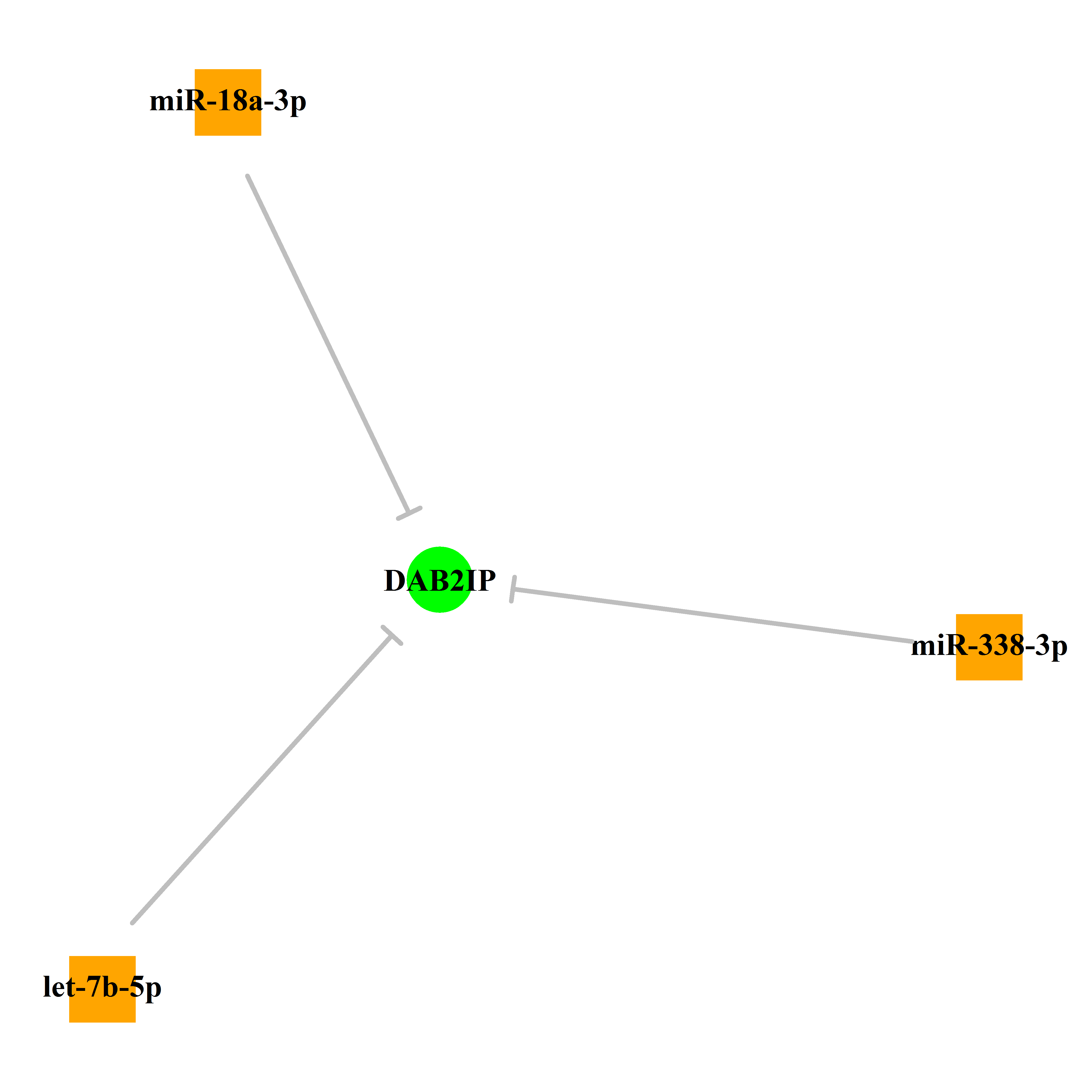 Experimentally validated miRNA-TS gene regulation information.