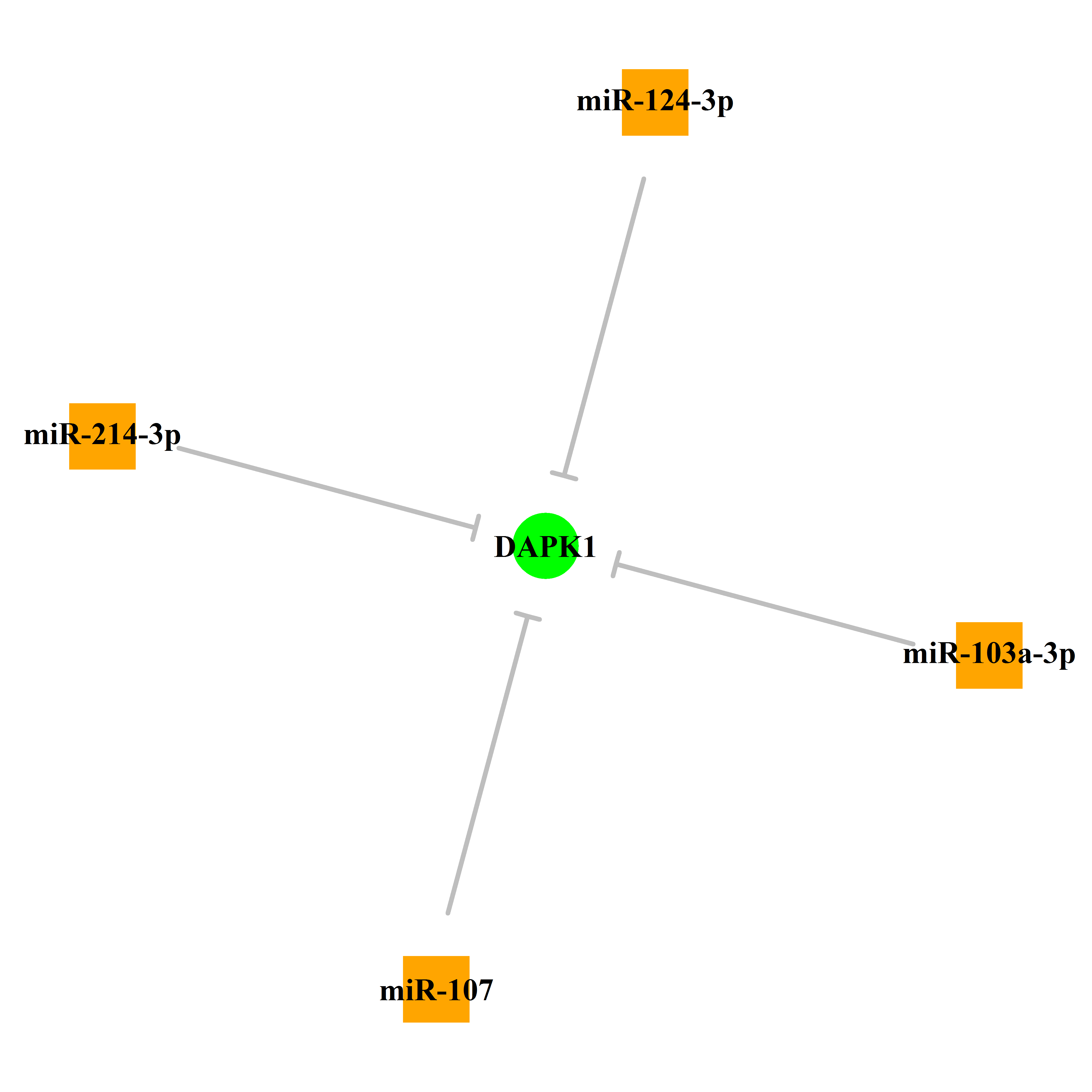 Experimentally validated miRNA-TS gene regulation information.