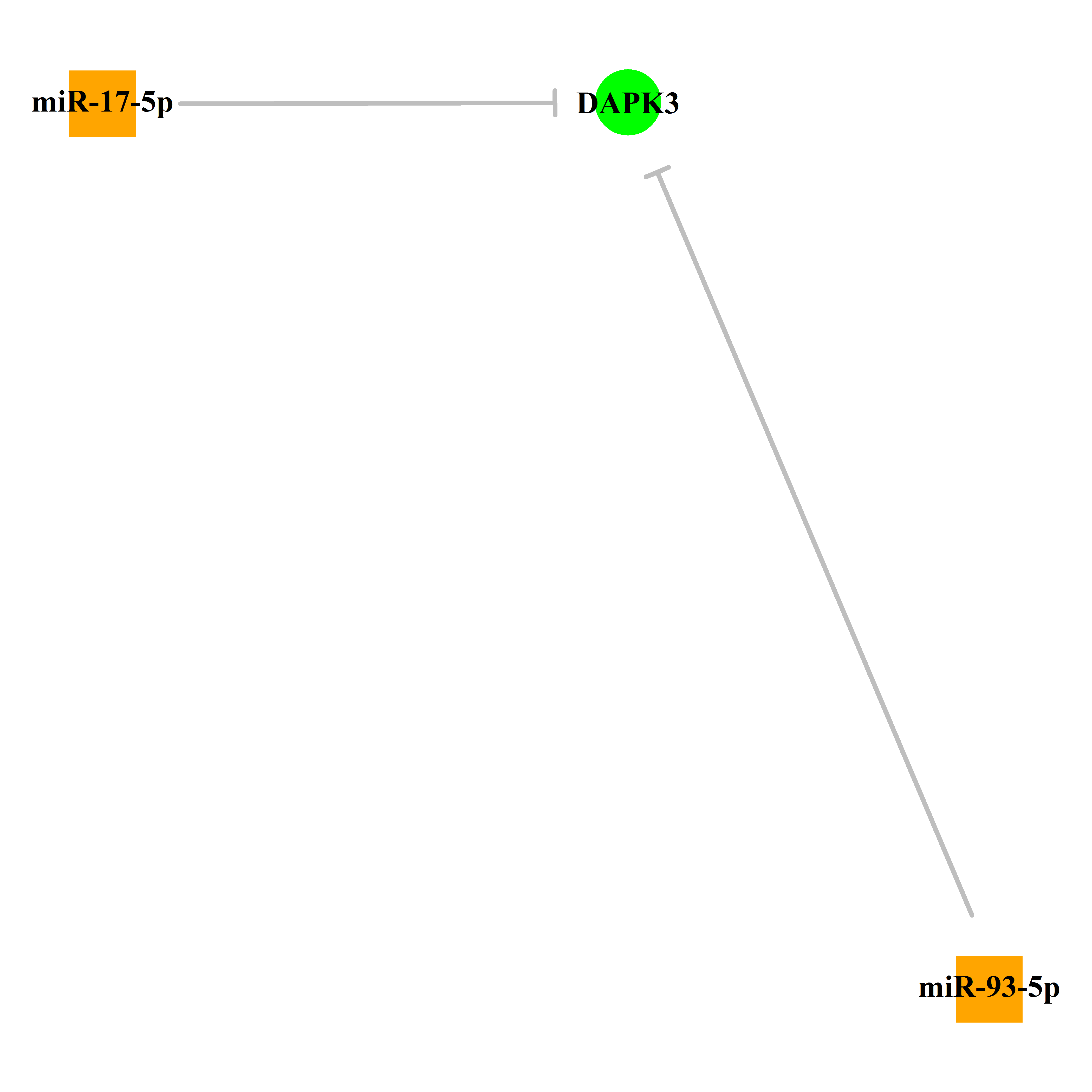 Experimentally validated miRNA-TS gene regulation information.