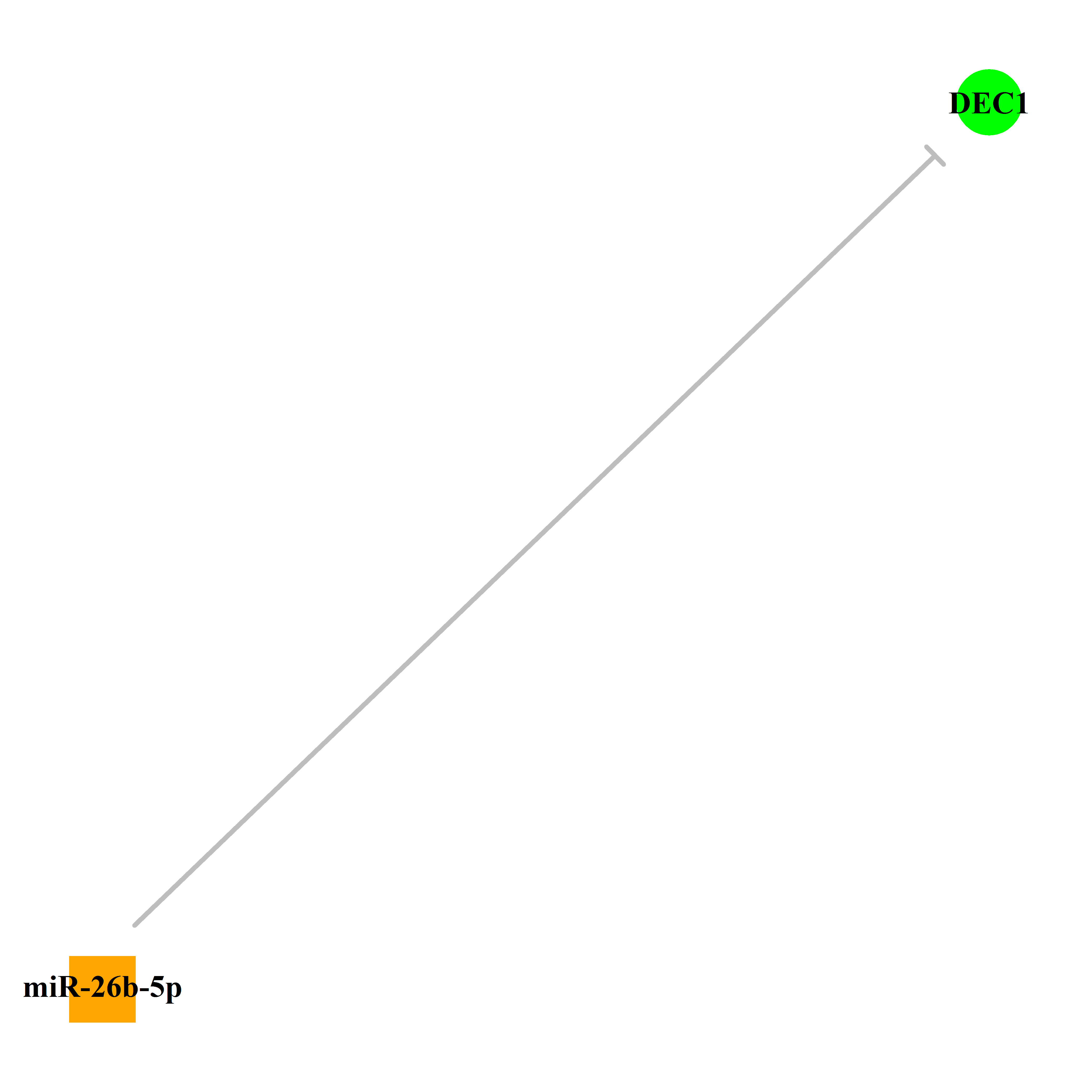 Experimentally validated miRNA-TS gene regulation information.