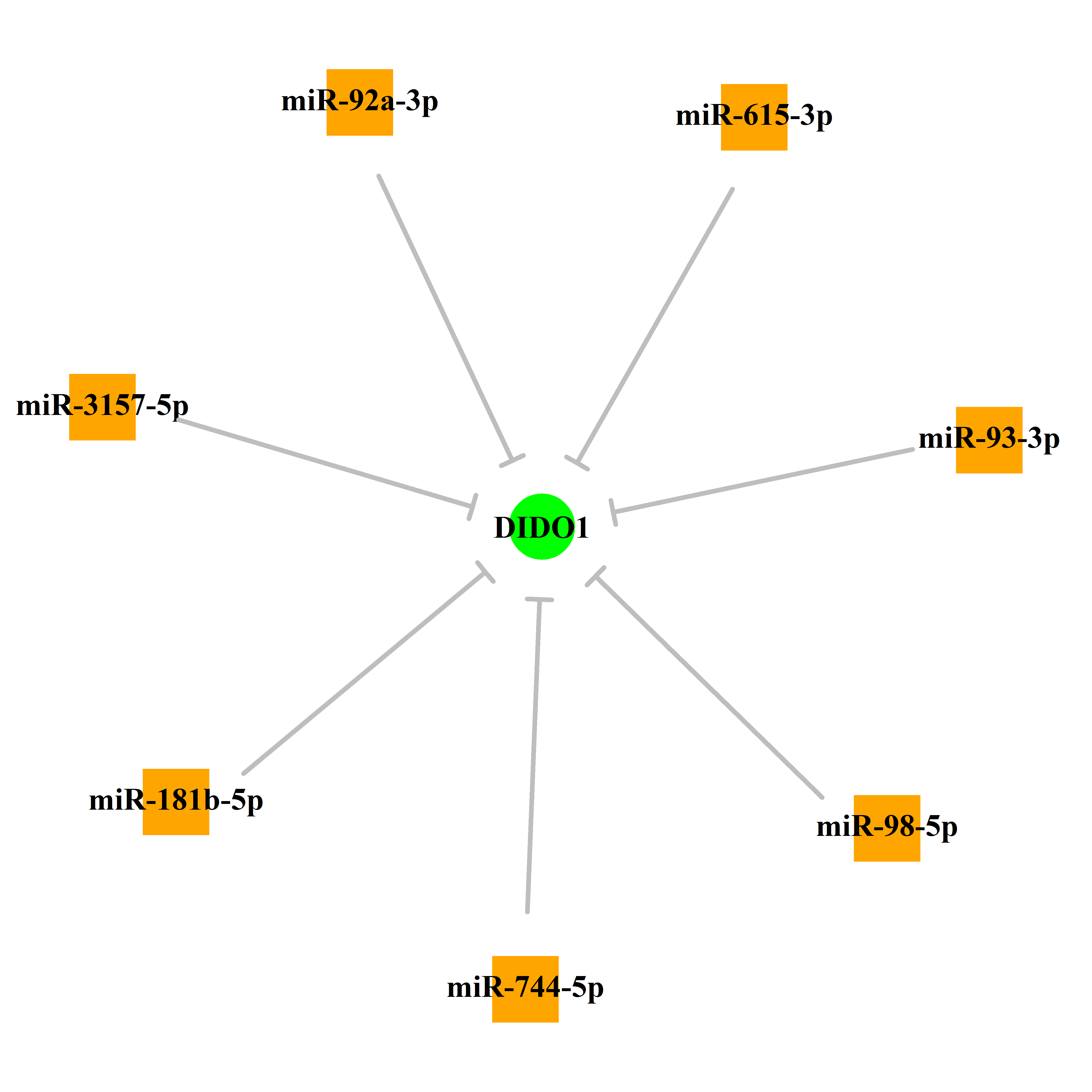 Experimentally validated miRNA-TS gene regulation information.