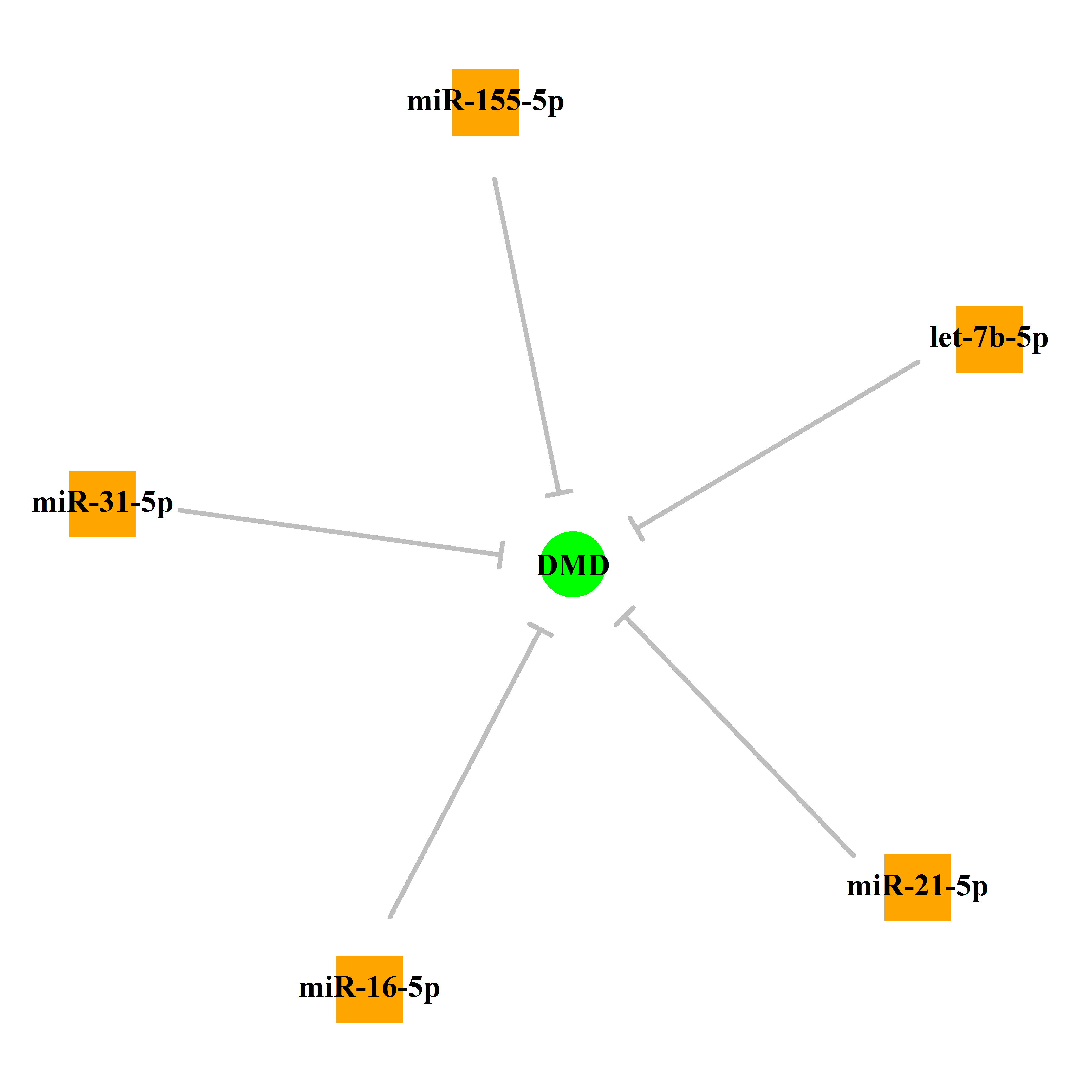 Experimentally validated miRNA-TS gene regulation information.