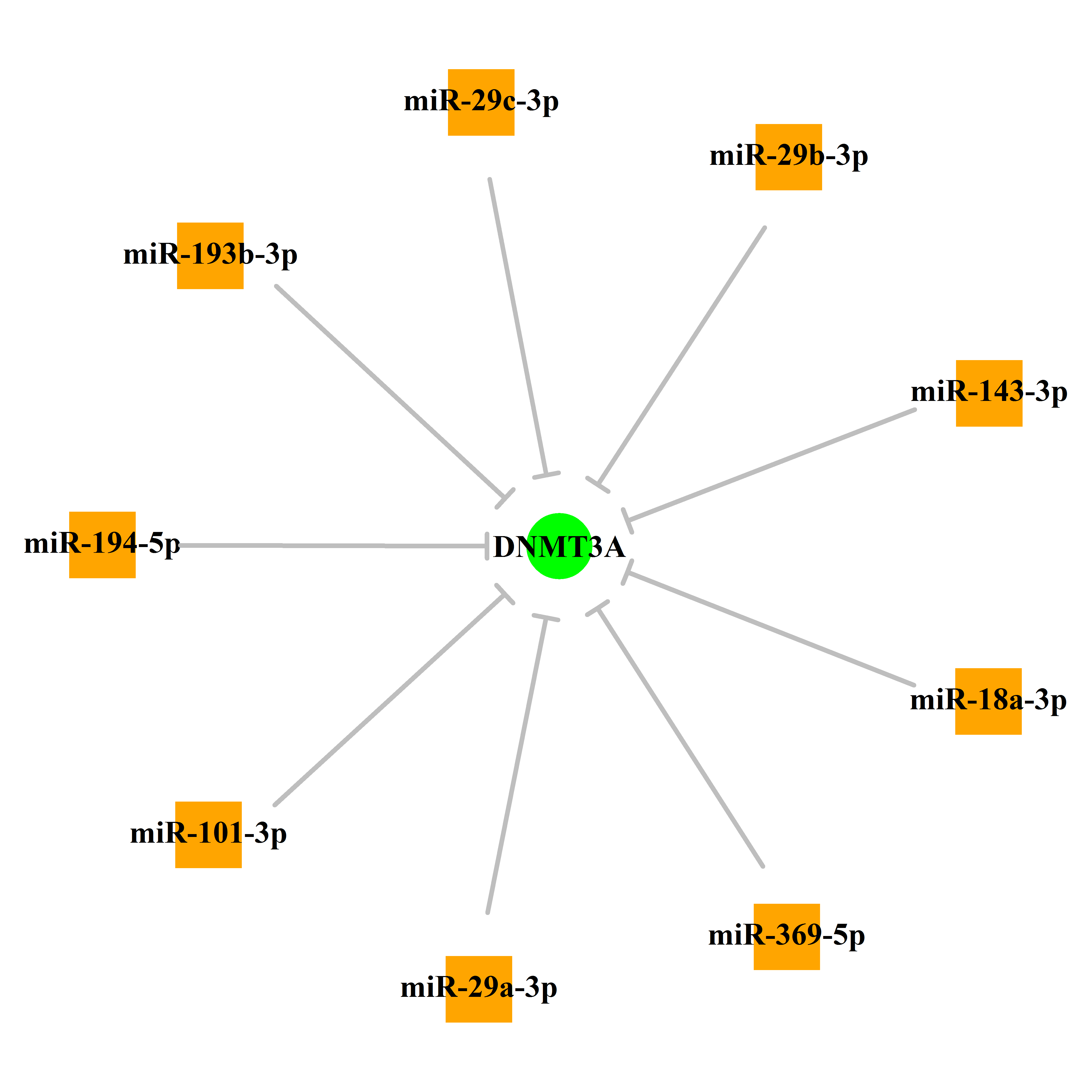 Experimentally validated miRNA-TS gene regulation information.