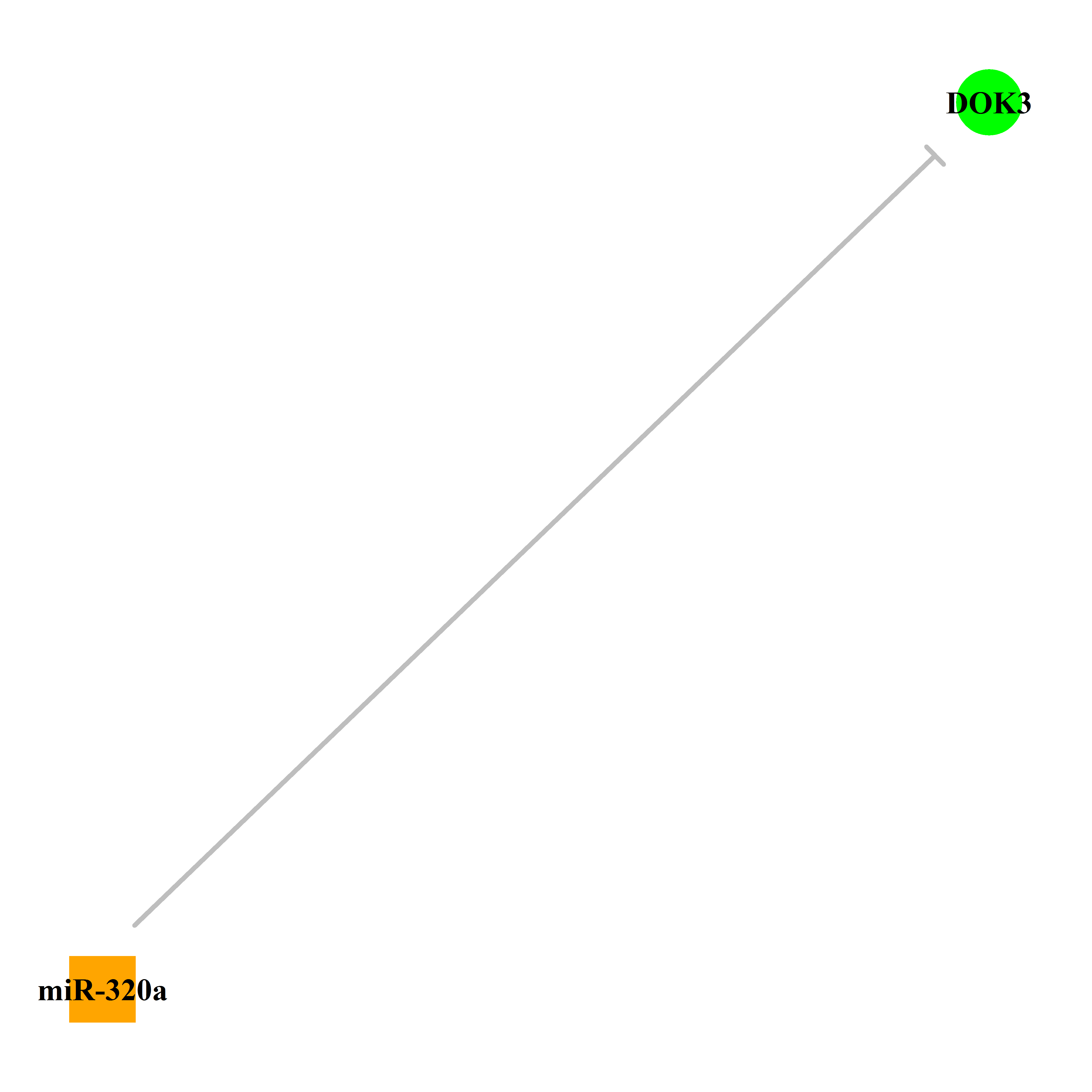 Experimentally validated miRNA-TS gene regulation information.