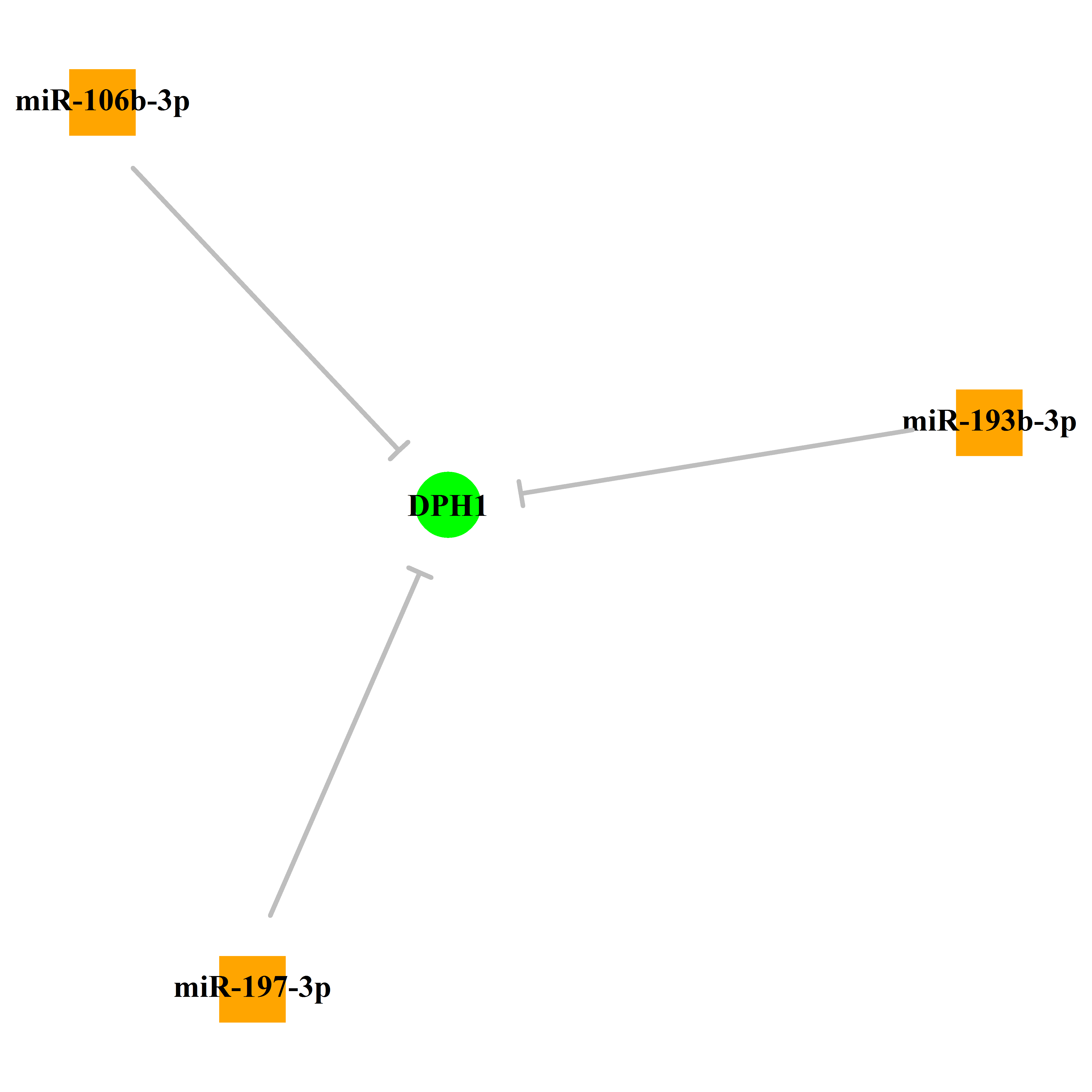 Experimentally validated miRNA-TS gene regulation information.