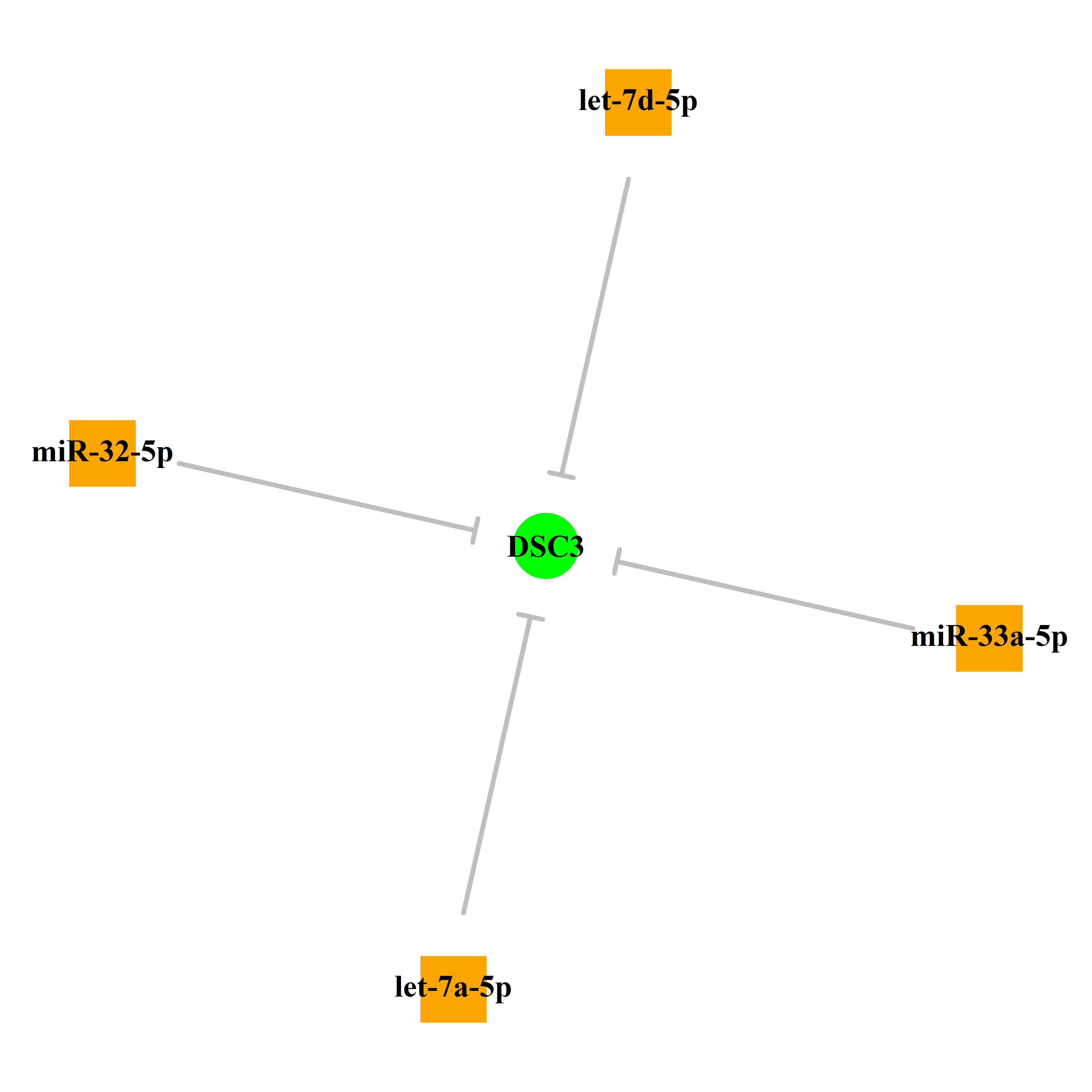 Experimentally validated miRNA-TS gene regulation information.