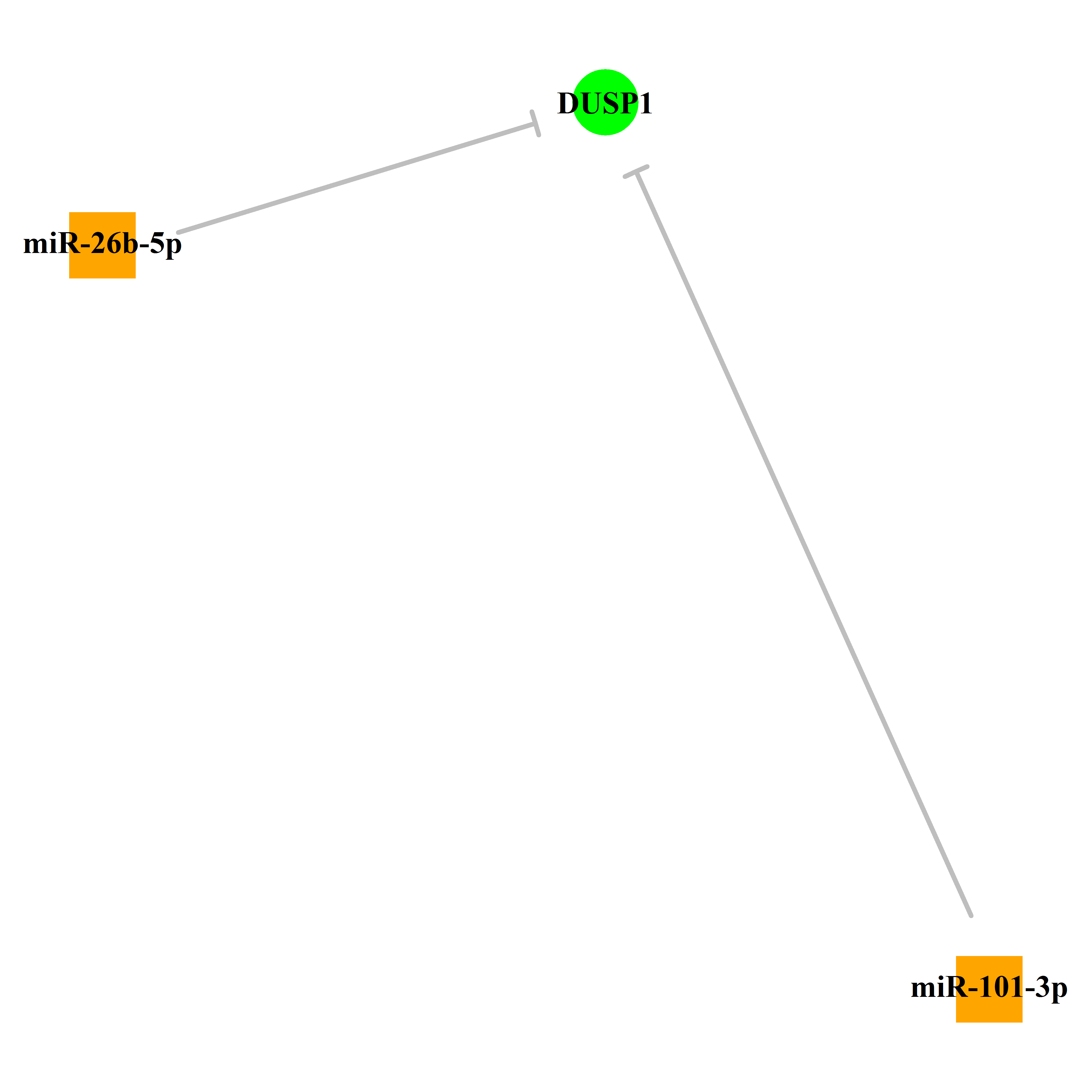 Experimentally validated miRNA-TS gene regulation information.