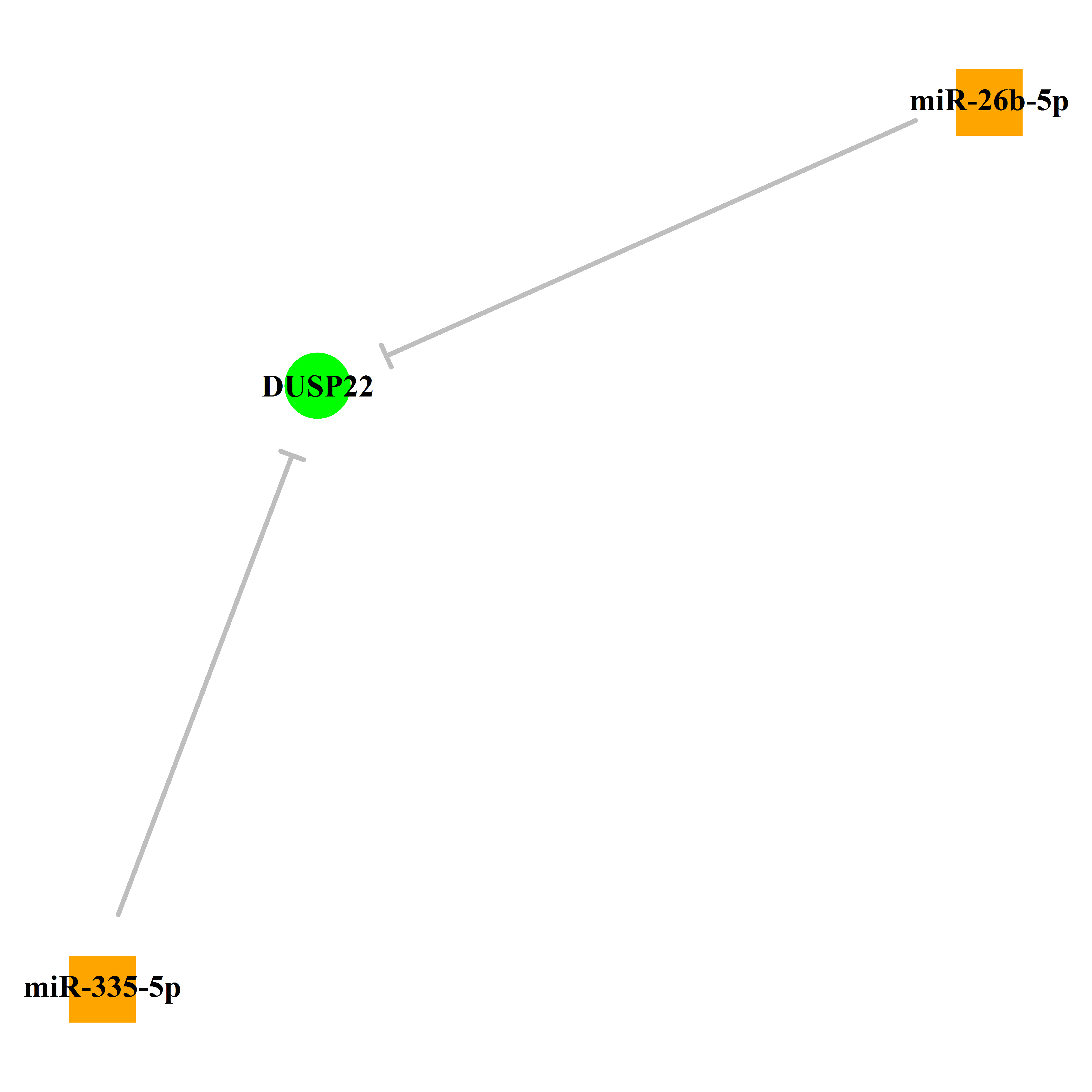 Experimentally validated miRNA-TS gene regulation information.