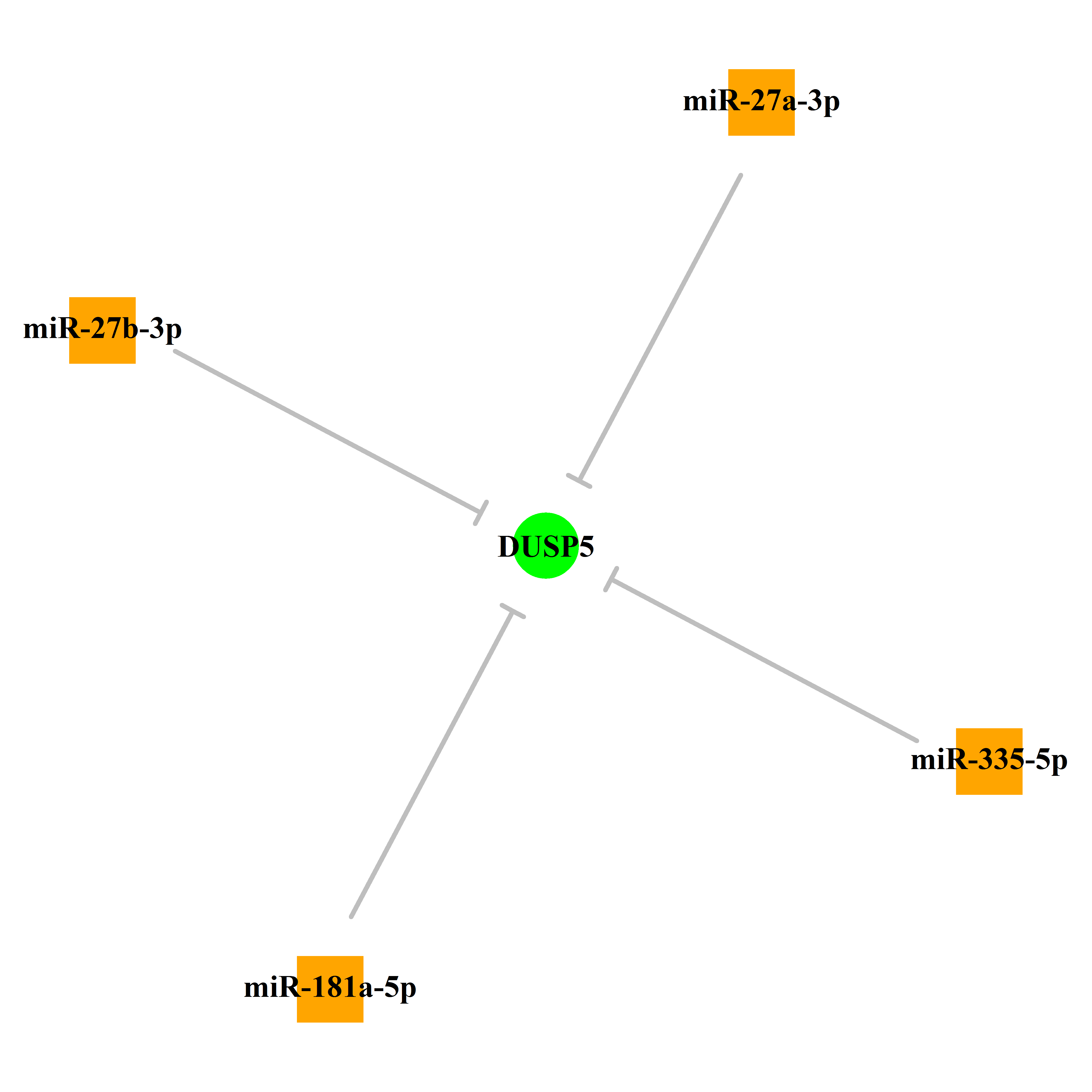 Experimentally validated miRNA-TS gene regulation information.