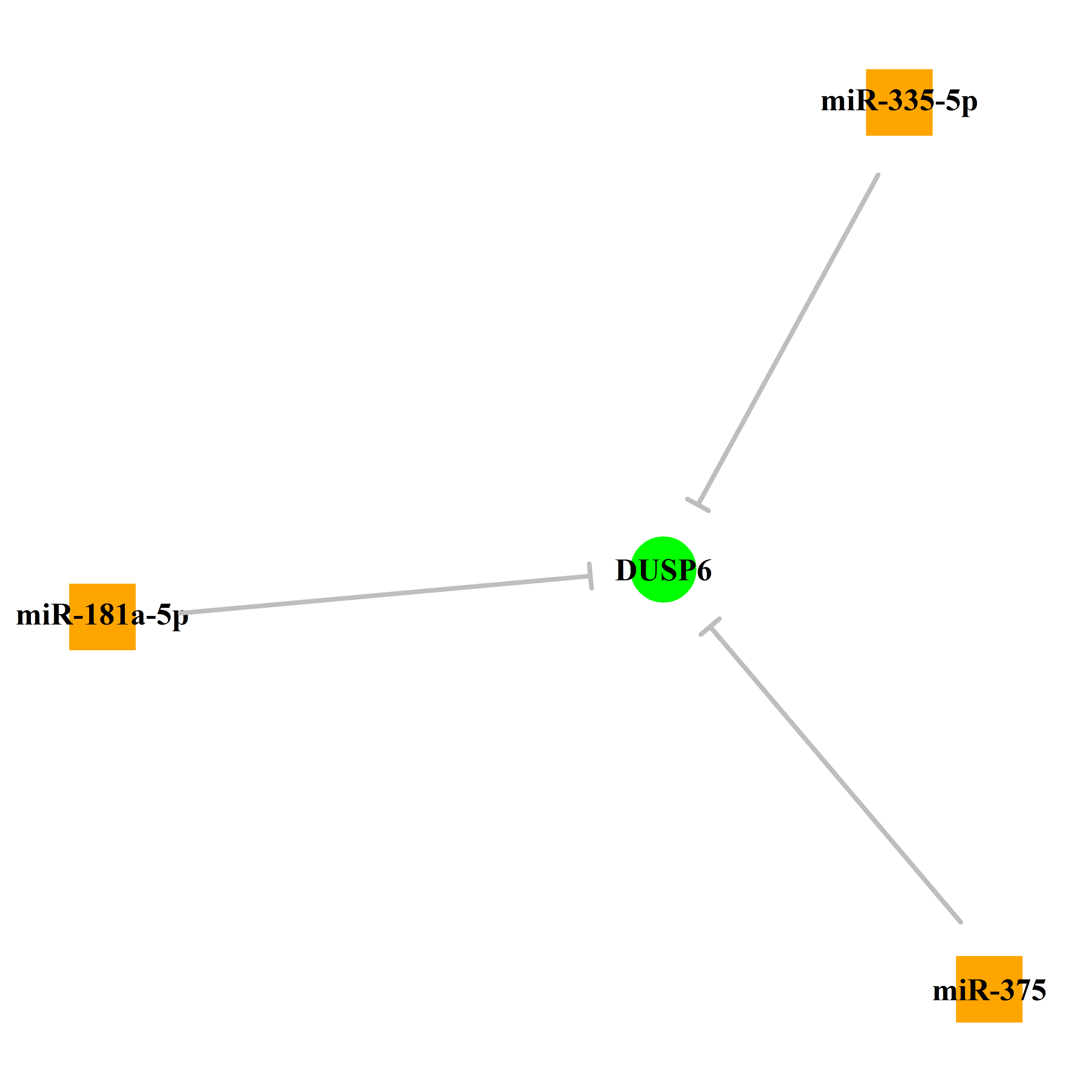 Experimentally validated miRNA-TS gene regulation information.