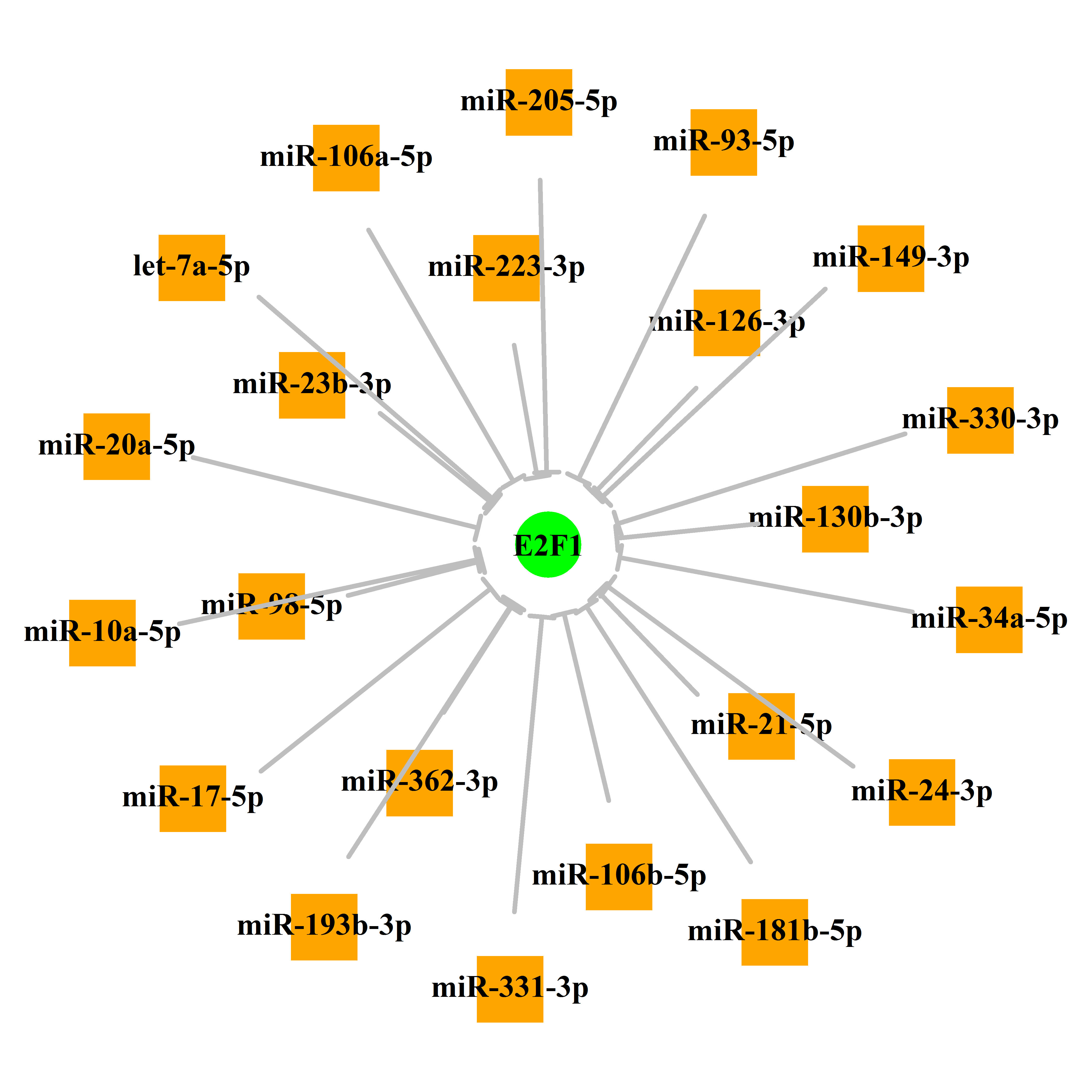 Experimentally validated miRNA-TS gene regulation information.