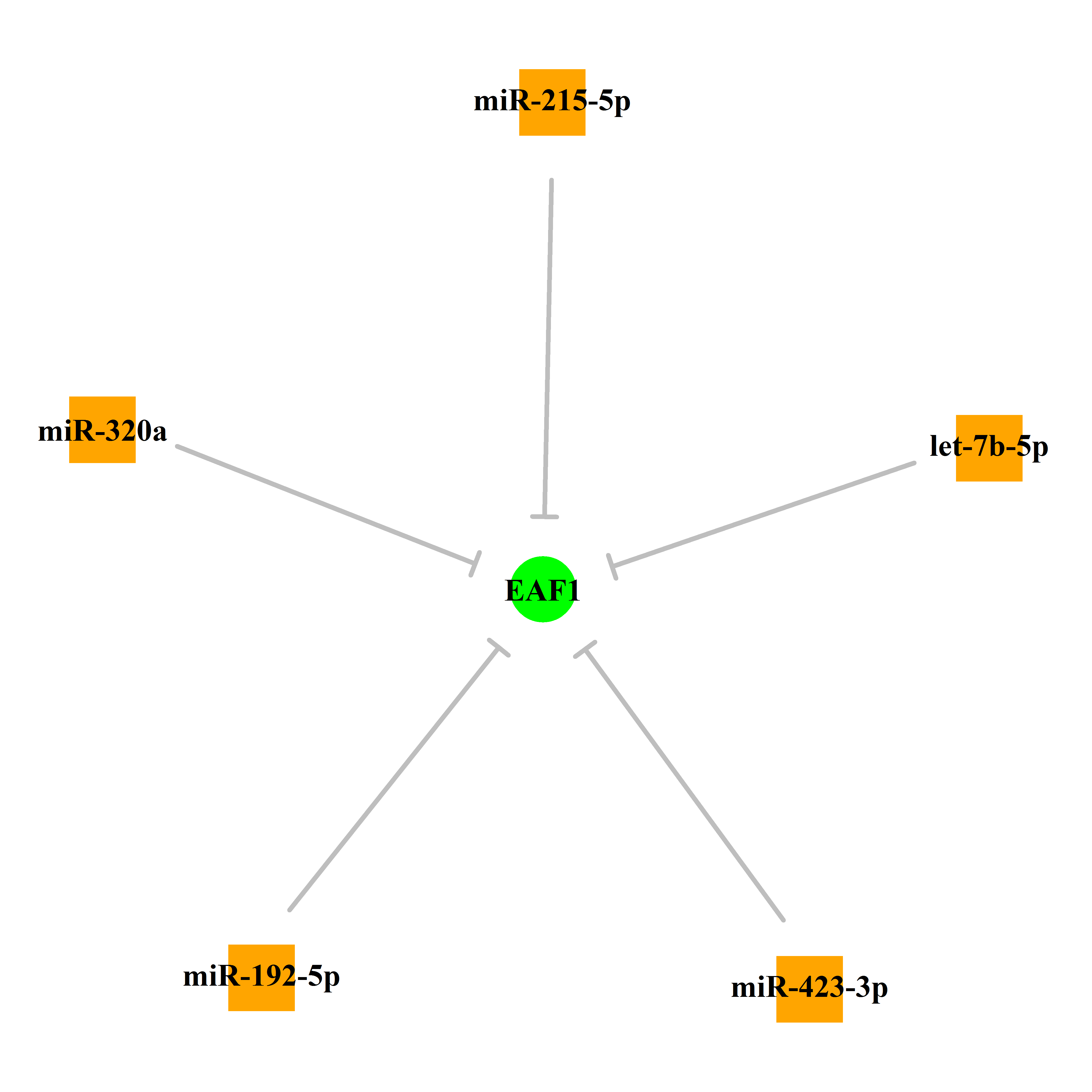 Experimentally validated miRNA-TS gene regulation information.