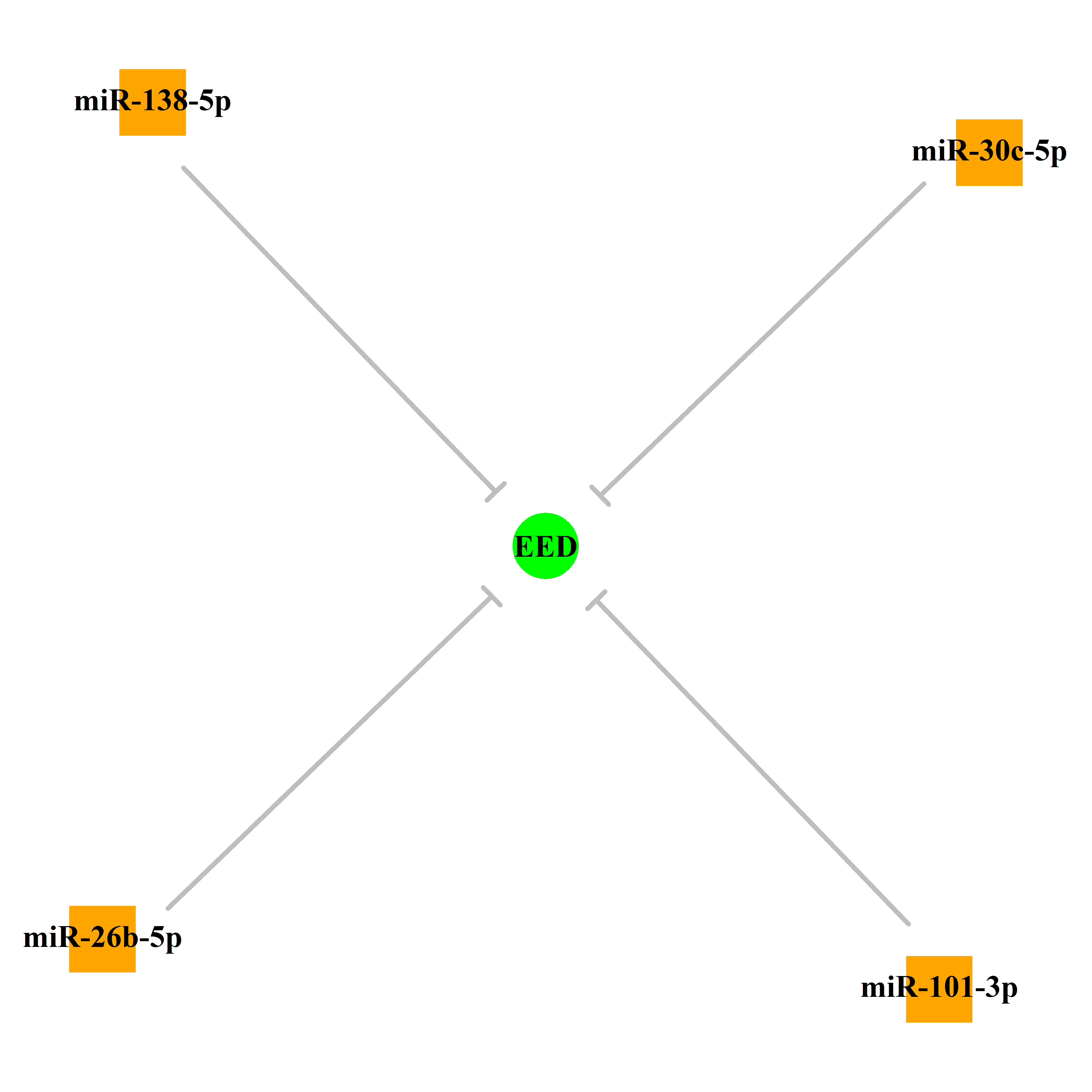 Experimentally validated miRNA-TS gene regulation information.