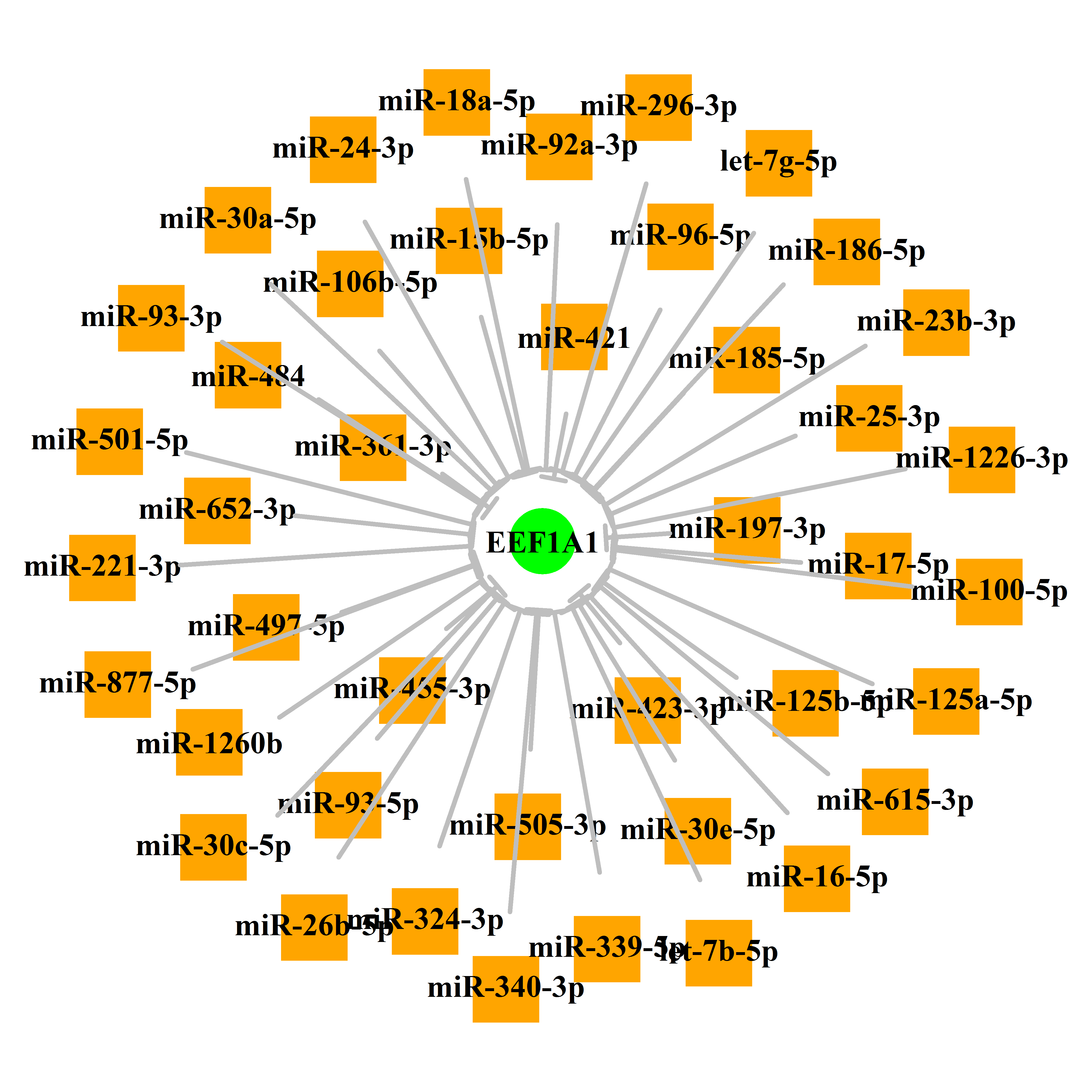 Experimentally validated miRNA-TS gene regulation information.