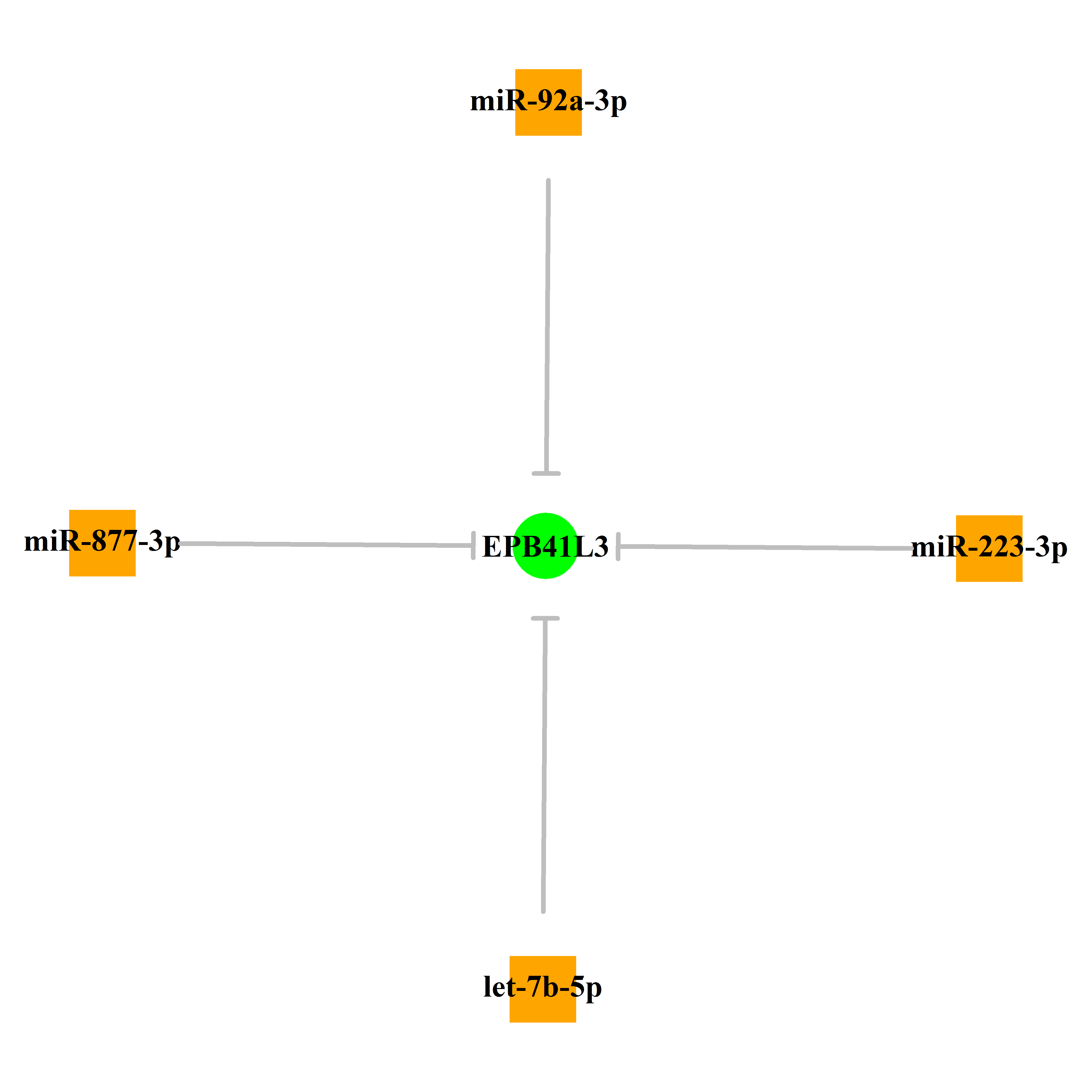 Experimentally validated miRNA-TS gene regulation information.