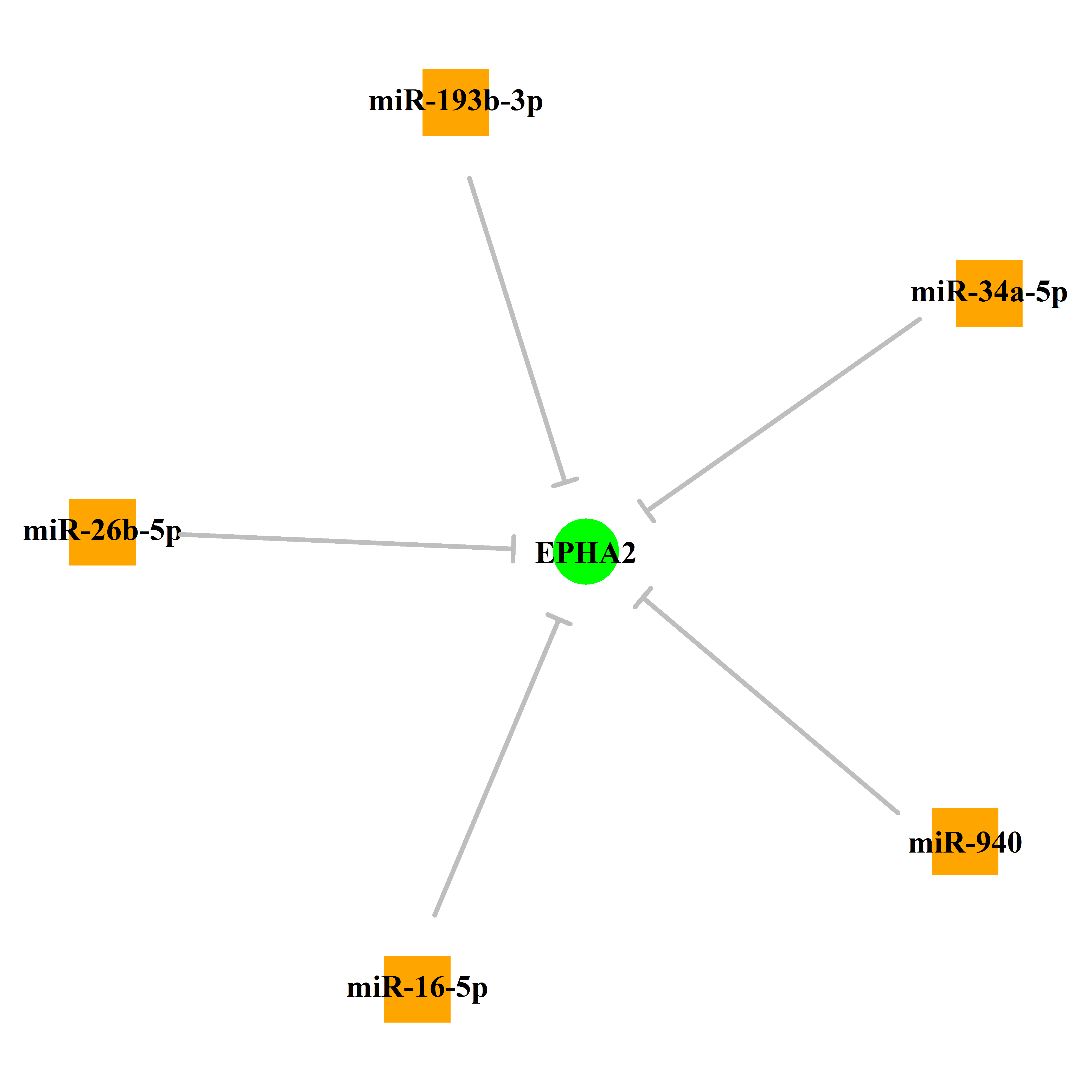 Experimentally validated miRNA-TS gene regulation information.