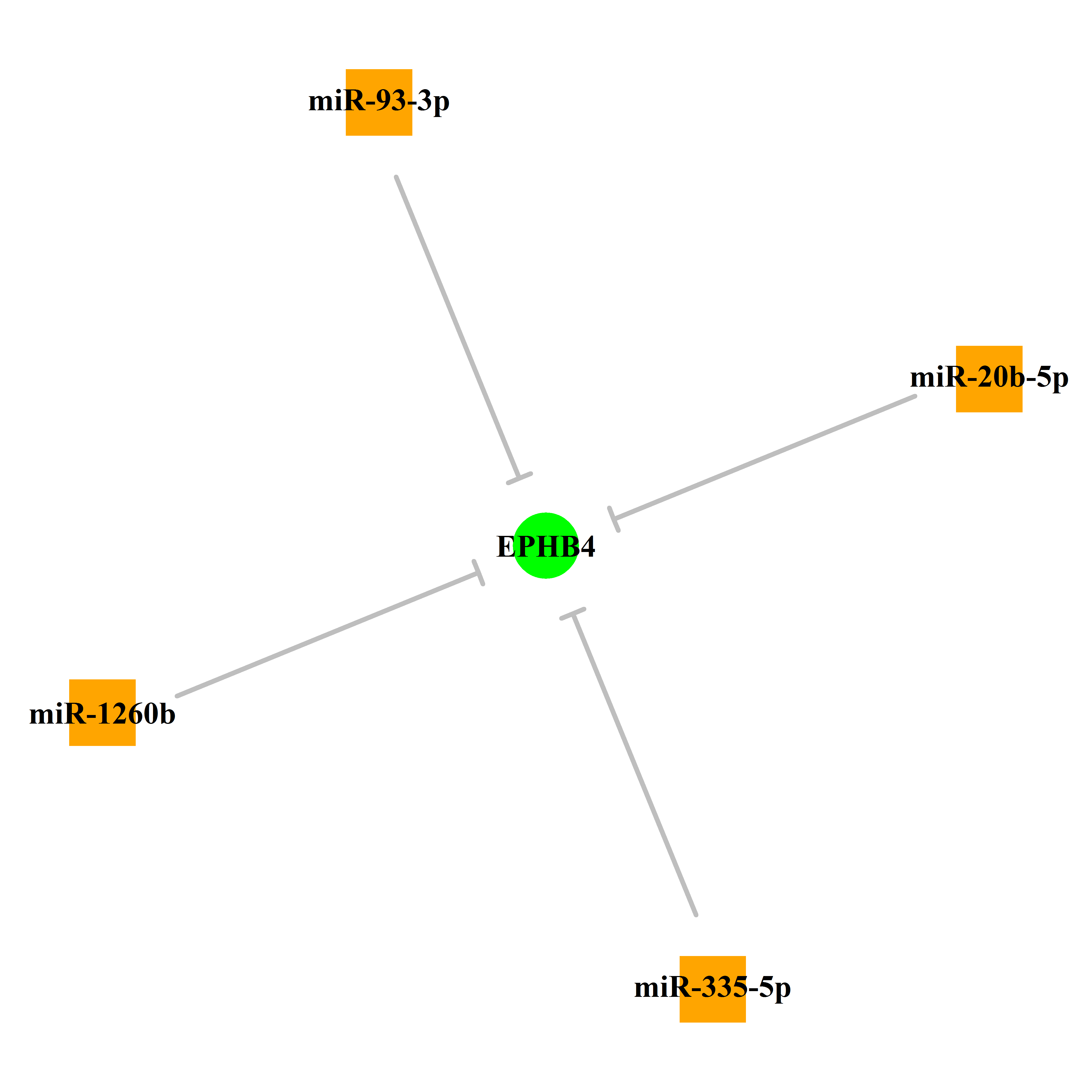 Experimentally validated miRNA-TS gene regulation information.